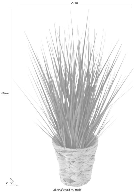 bei (1 I.GE.A. Kunstpflanze, OTTO St.) kaufen