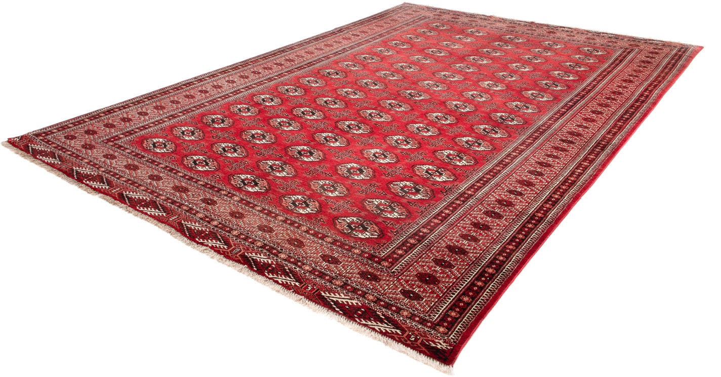 Wollteppich »Meymeh Medaillon Rosso scuro 324 x 235 cm«, rechteckig, 10 mm Höhe,...