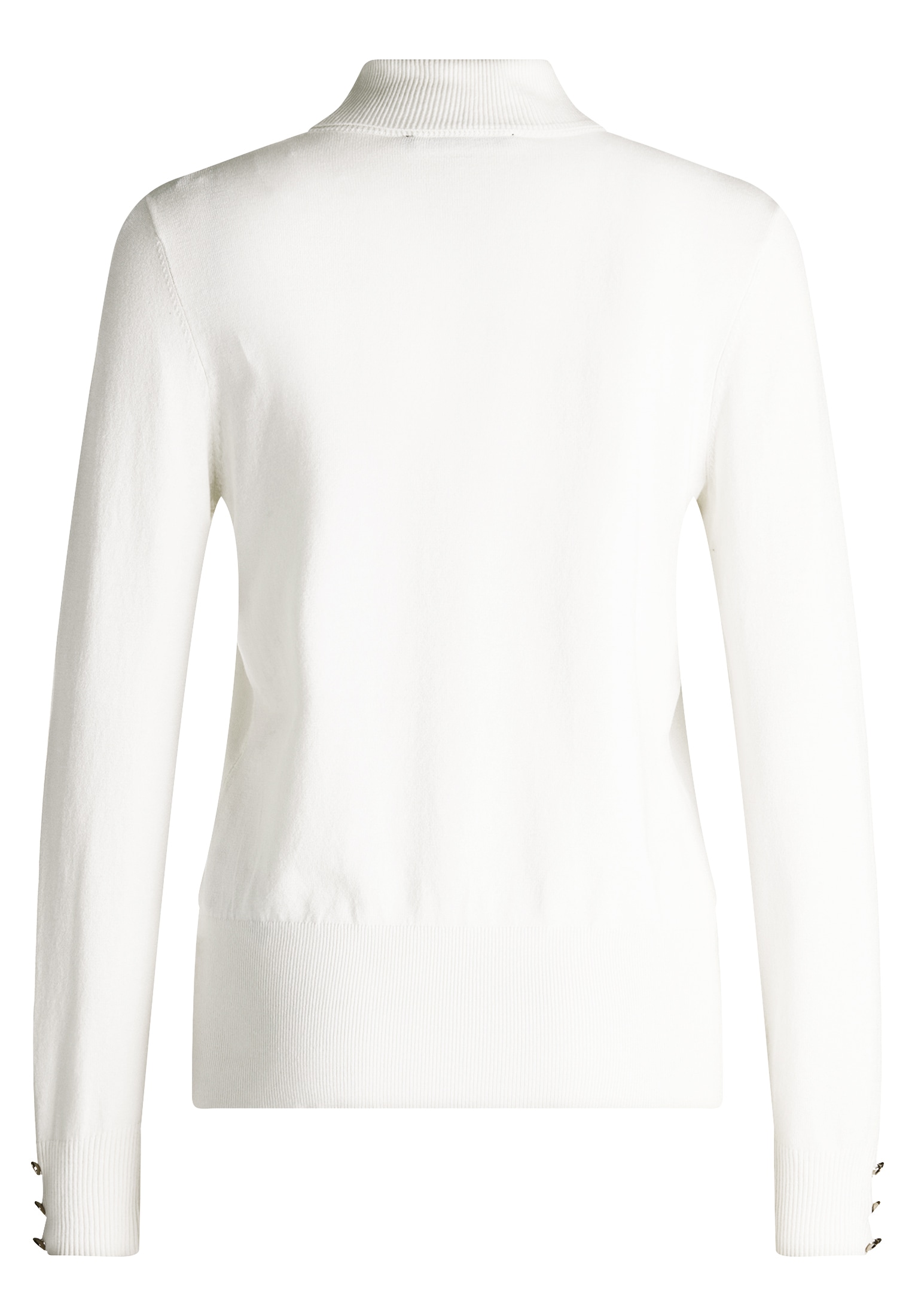 Betty Barclay Rollkragenpullover »Rollkragenpullover langarm«
