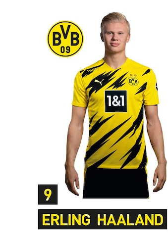 Wandtattoo »BVB Haaland Portrait 2020/2021«, (1 St.)