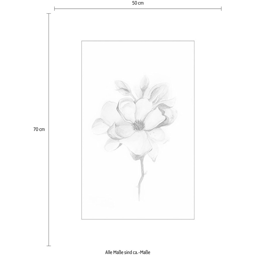 Komar Poster »Magnolia Blossom«, Blumen, (1 St.)