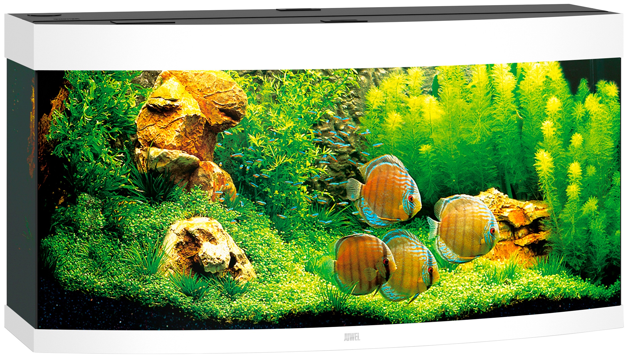 JUWEL AQUARIEN Aquarium »Vision 260«, BxTxH: 121x46x64 cm, 260 l kaufen