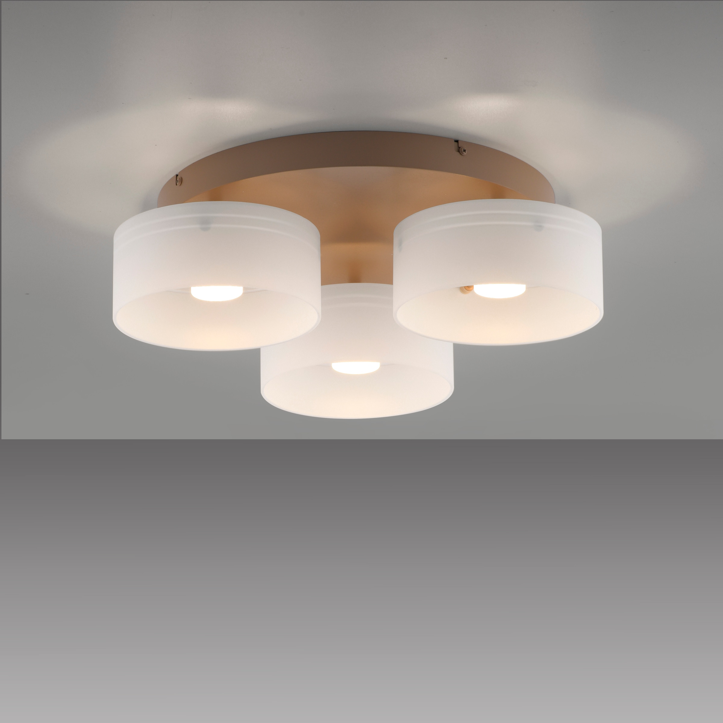 Paul Neuhaus LED Deckenleuchte »MARIKA« LED-Board 1 Stk. Warmweiß Stufenlos dimmbar über den Lichtschalter, Memoryfunktion, Opalgläser