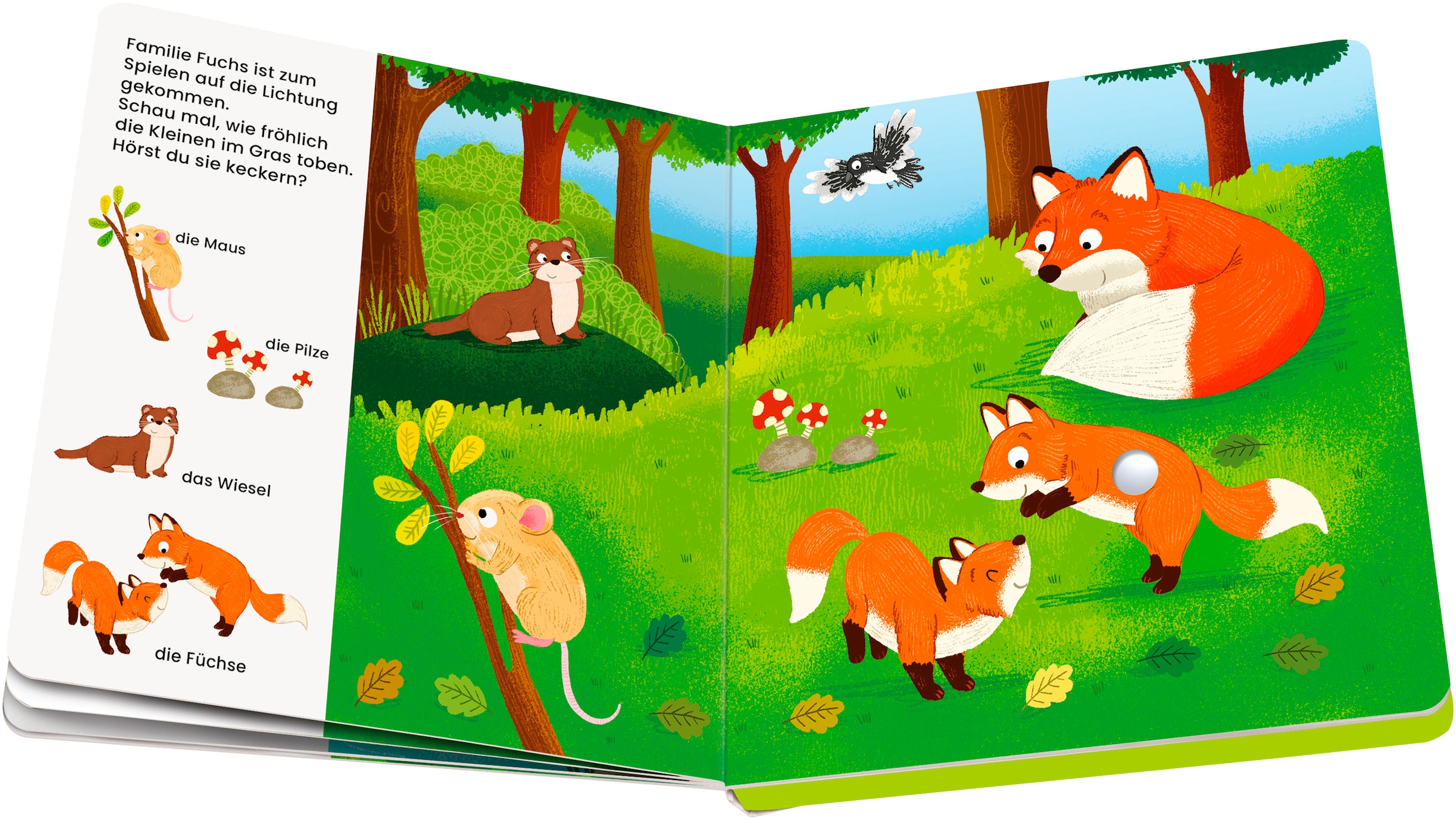 Ravensburger Kinderbuch »Play+ Mein allererstes Soundbuch Tiere im Wald«