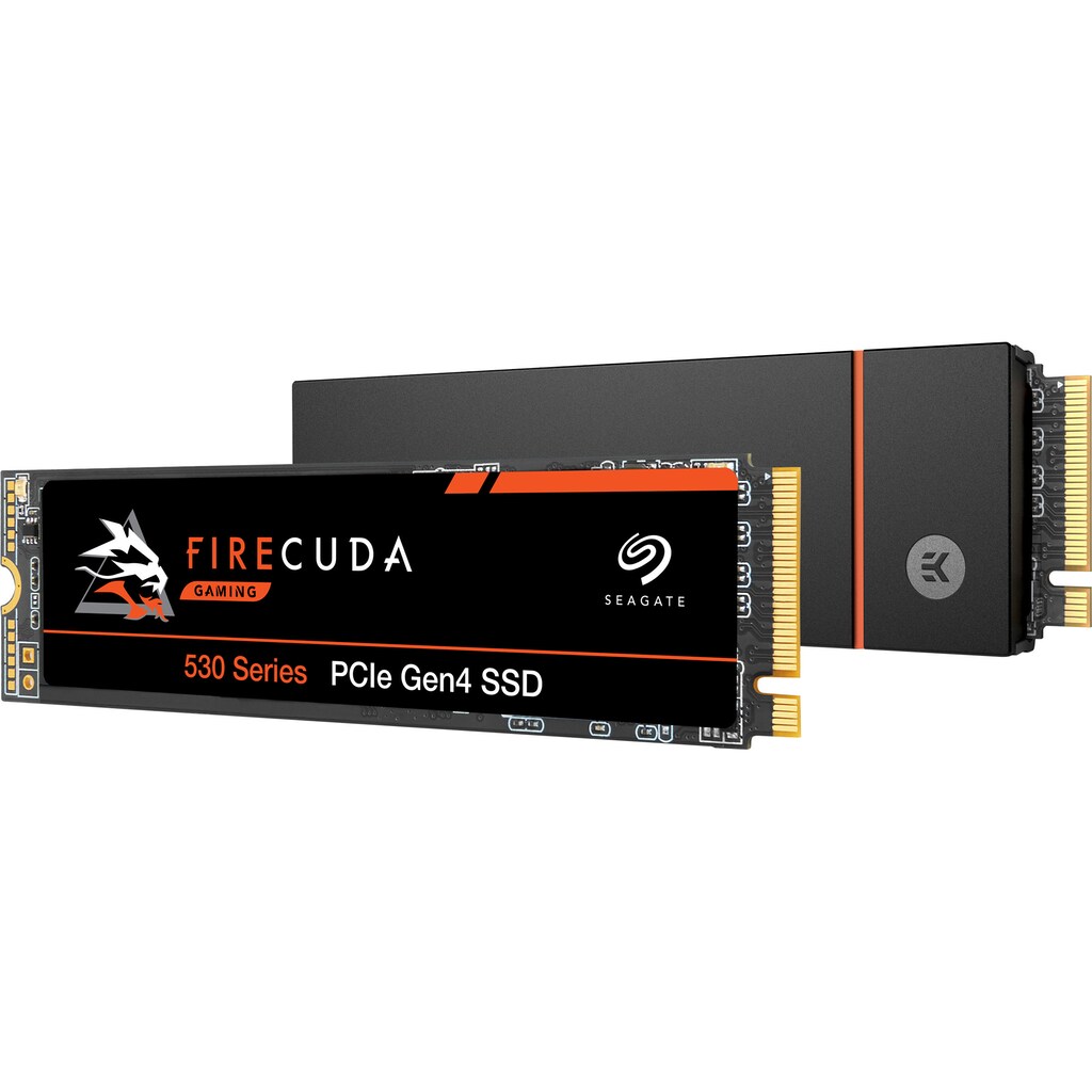 Seagate interne SSD »FireCuda 530 mit Kühlkörper«, Anschluss M.2 PCIe 4.0, Playstation 5 kompatibel, inkl. 3 Jahre Rescue Data Recovery