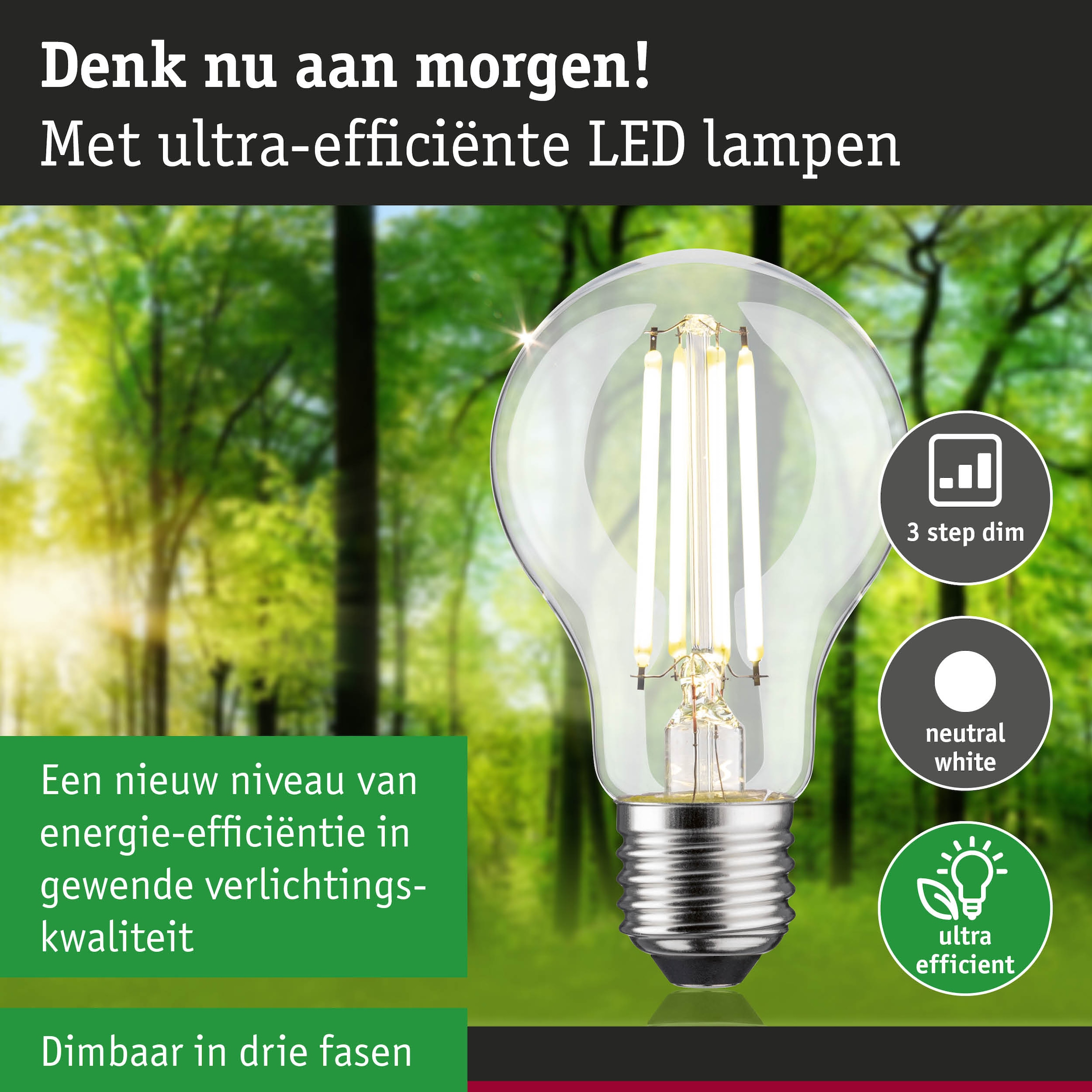 Paulmann LED-Leuchtmittel »Eco-Line Filament 230V LED Birne E27 806lm 4,3W 4000K dimmbar Klar« E27 1 Stk. Neutralweiß