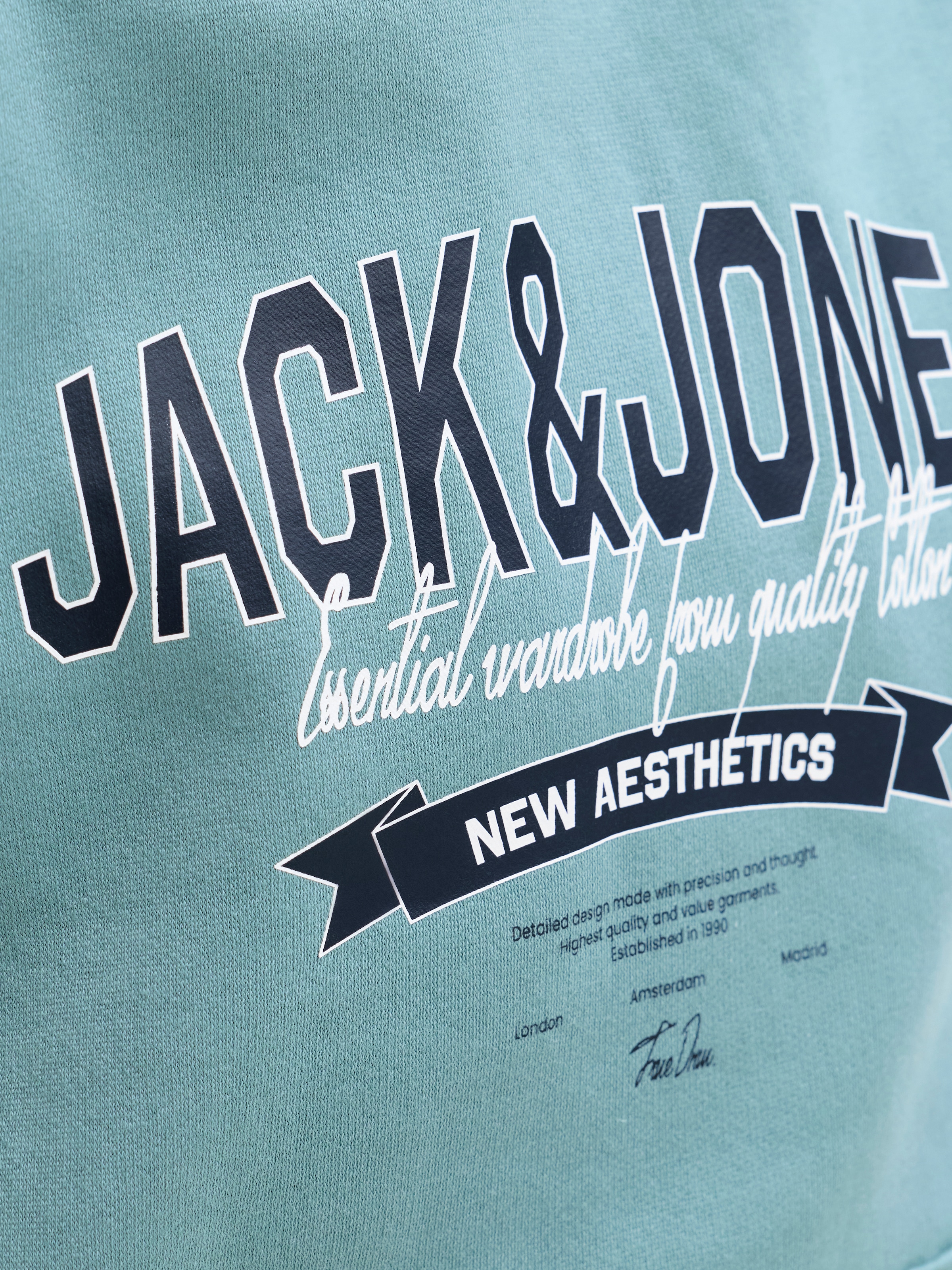 Jack & Jones Junior Kapuzensweatshirt »JJELOGO SWEAT HOOD 2 COL AW25 NOOS JNR«
