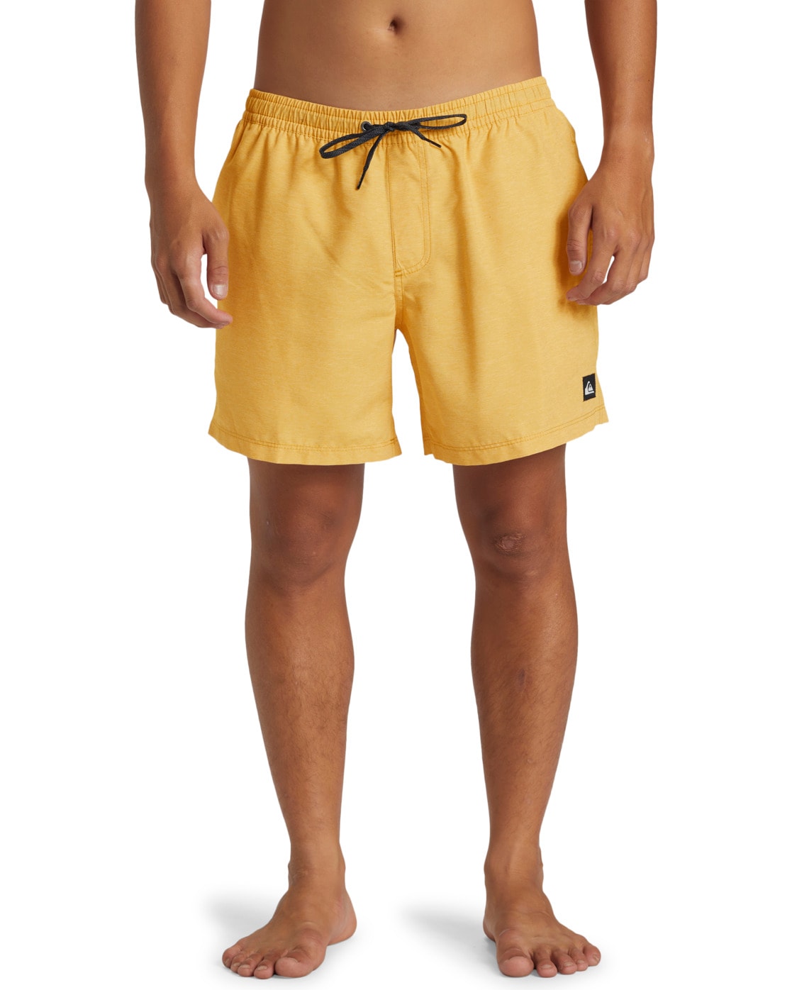 Quiksilver Boardshorts »Everyday Deluxe Volley 15"«