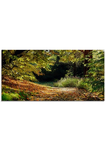 Artland Glasbild »Herbstteppich«, Wald, (1 St.), in verschiedenen Größen kaufen