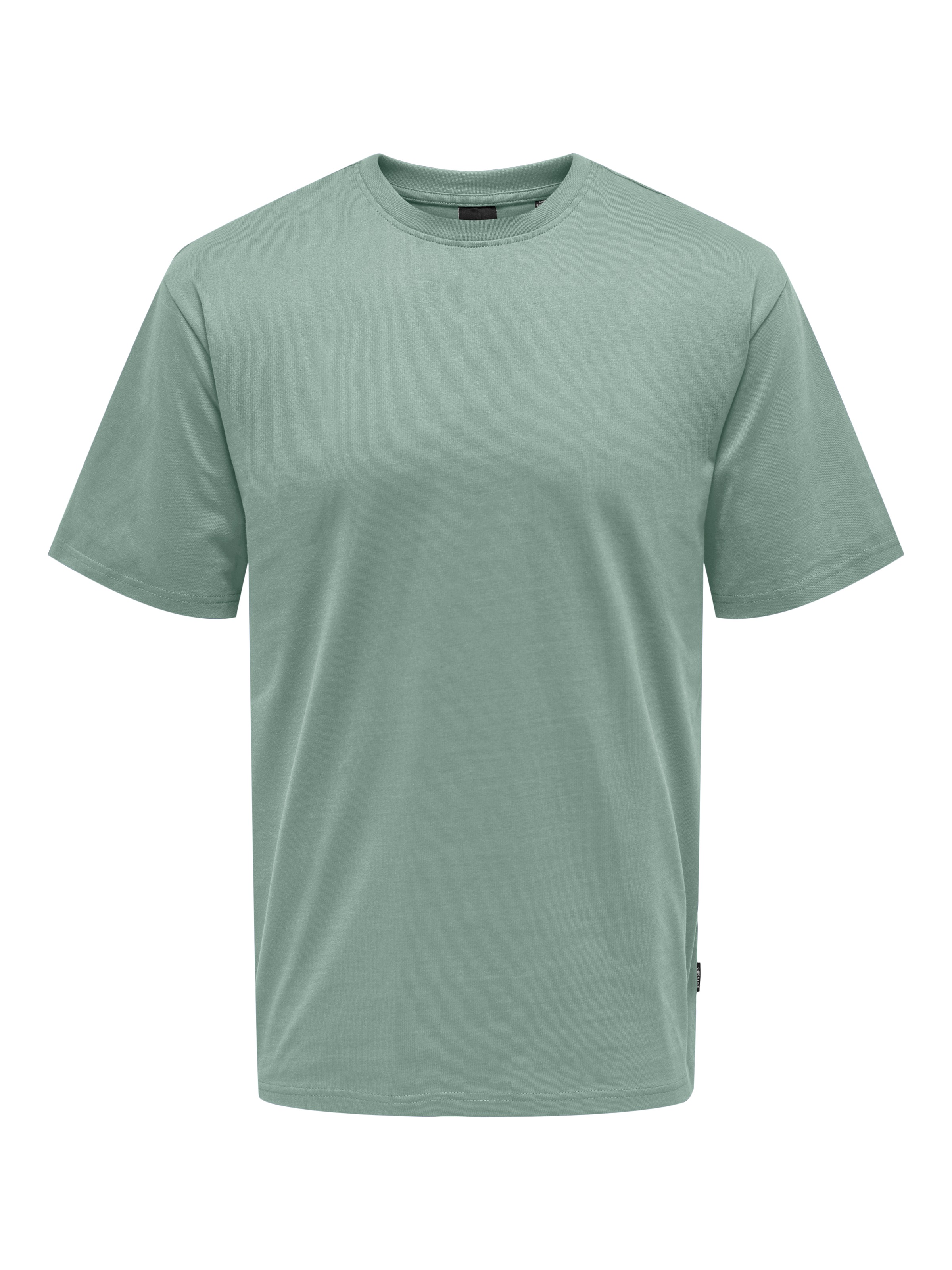 ONLY & SONS Rundhalsshirt »ONSFRED RLX SS TEE«