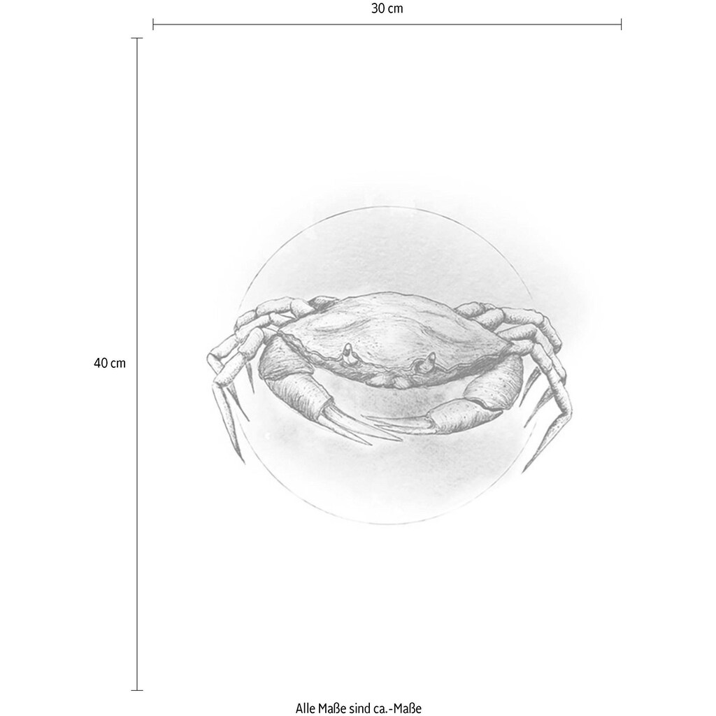 Komar Poster »Crab Watercolor«, Tiere, Höhe: 50cm