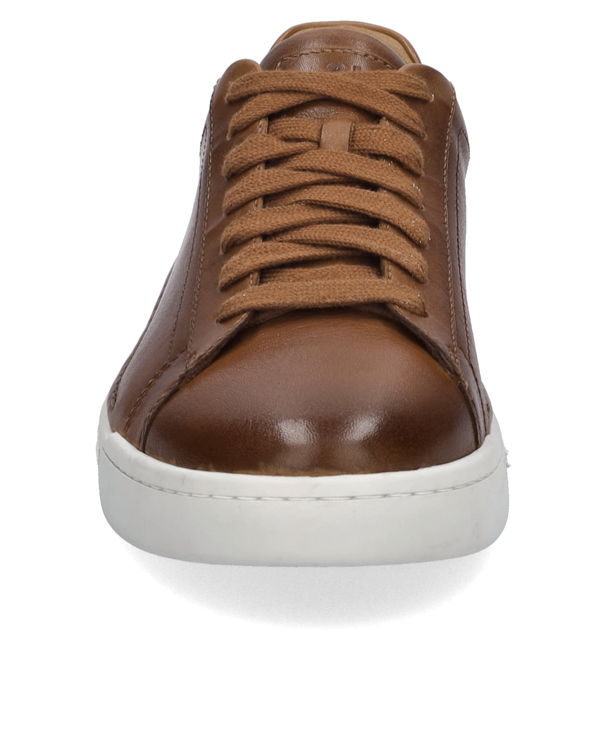 Josef Seibel Sneaker »Cleve 02, castagne«