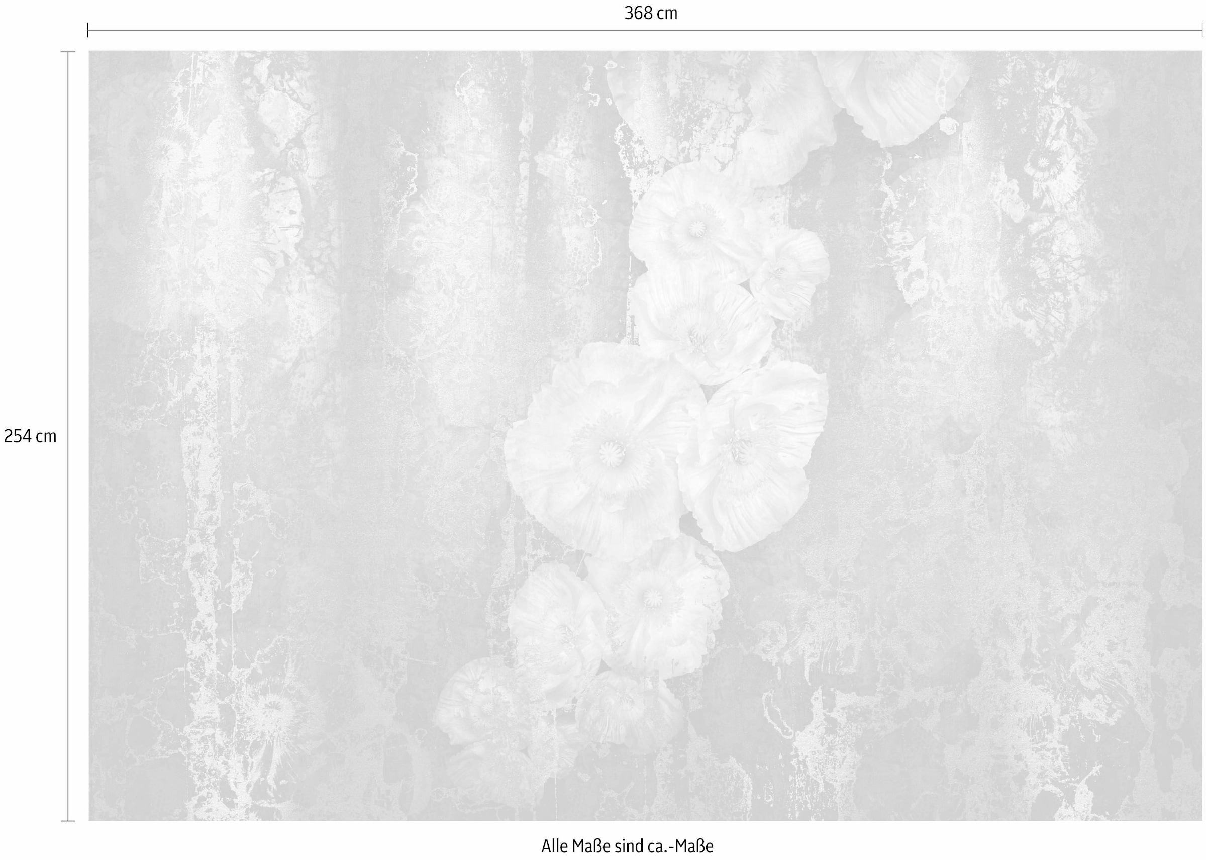 Komar Fototapete »Serafina - Größe 368 x 254 cm«, bedruckt, Wohnzimmer, Schlafzimmer