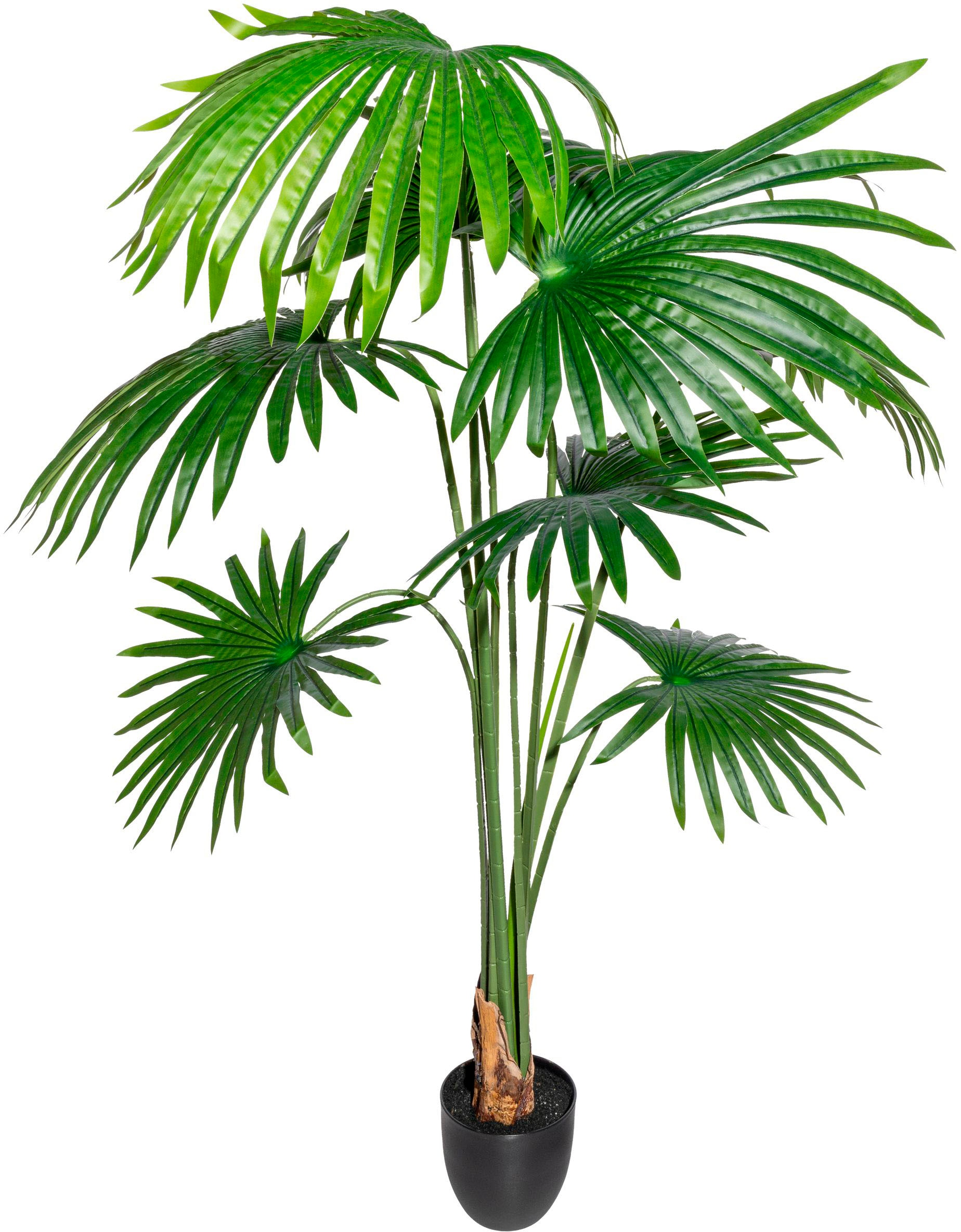 Creativ green Kunstbaum »Washingtonia«