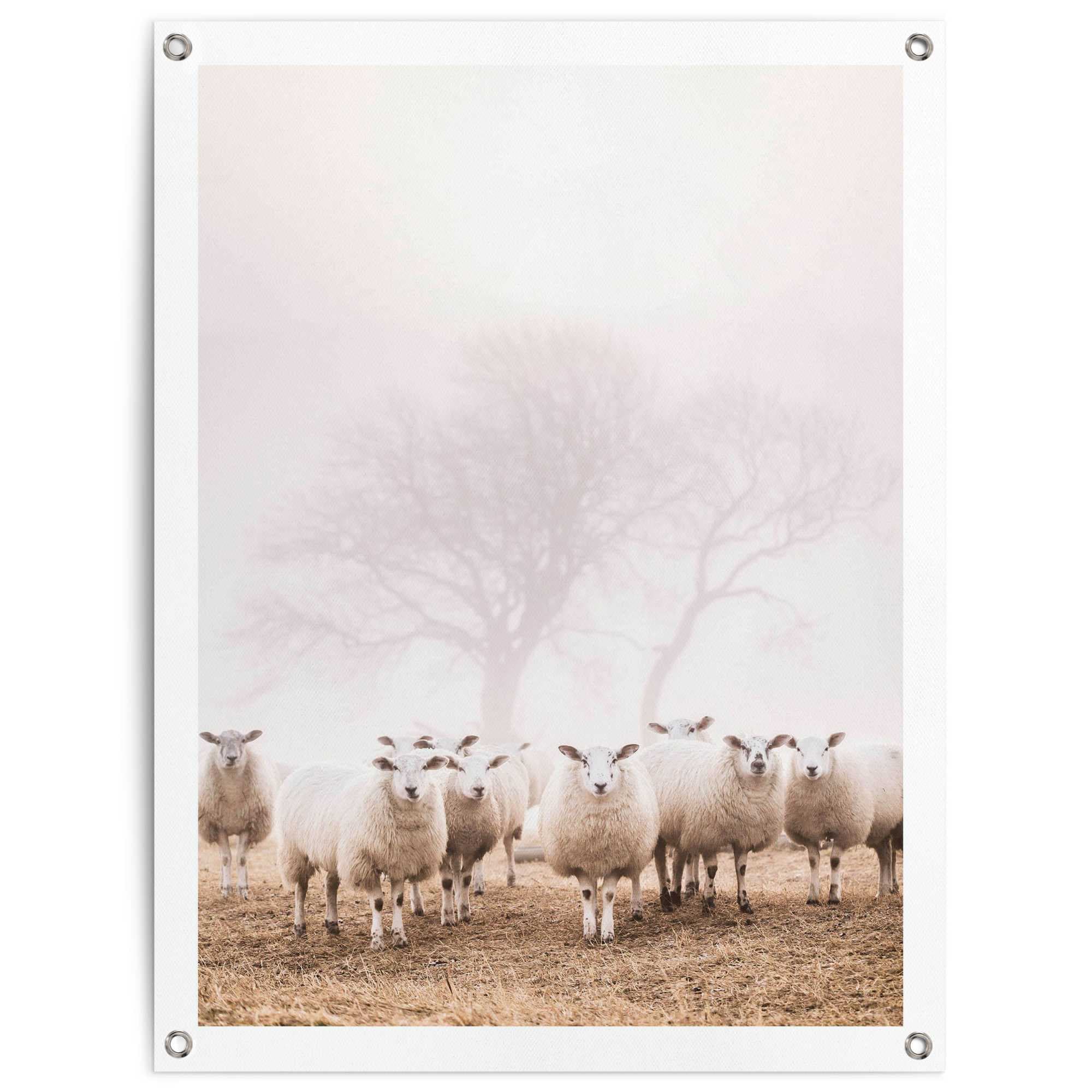 OTTO »Schafe oder im Balkon Garten kaufen bei Outdoor Poster Reinders! Nebel«, für