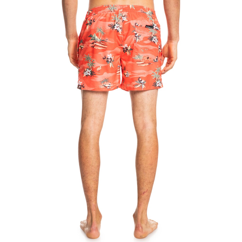 Quiksilver Boardshorts »Everyday Scenic 15"«