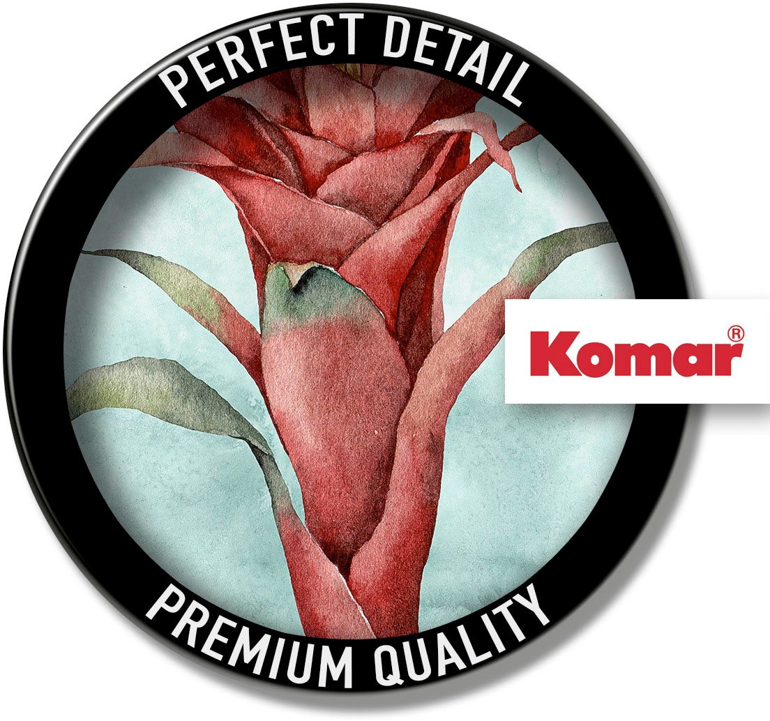 Komar Bild »Funky Flower« Natur 1 Stk. tlg. Wandbild zur Dekoration - ohne Rahmen