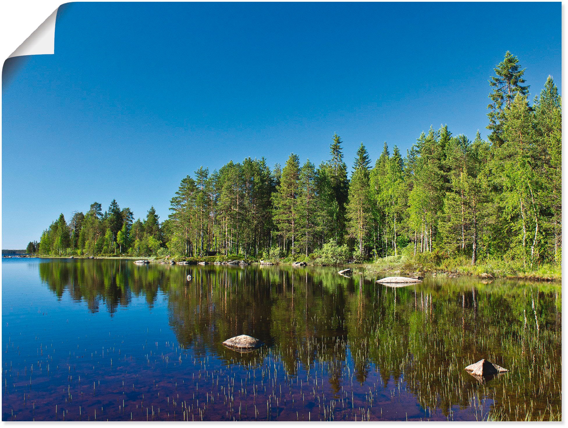 Artland Wandbild »See Lentua -Finnland«, Gewässer, (1 St.), in vielen Größen & Produktarten - Alubild / Outdoorbild für den Außenbereich, Leinwandbild, Poster, Wandaufkleber / Wandtattoo auch für Badezimmer geeignet
