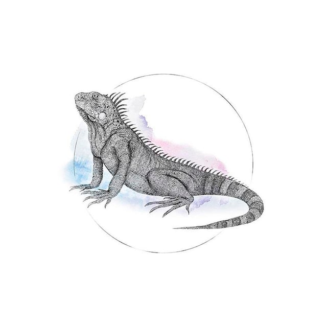 kaufen 70cm OTTO Komar Höhe: Tiere, Watercolor«, Poster bei »Iguana