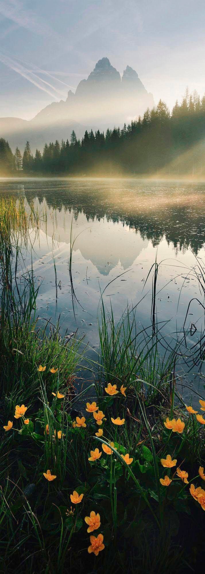 Vliestapete »Morning Mist«, 100x280 cm (Breite x Höhe), Vliestapete, 100 cm Bahnbreite