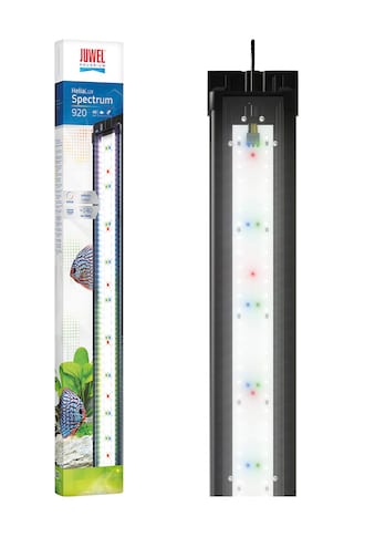 JUWEL AQUARIEN LED Aquariumleuchte »HeliaLux Spectrum 920« kaufen