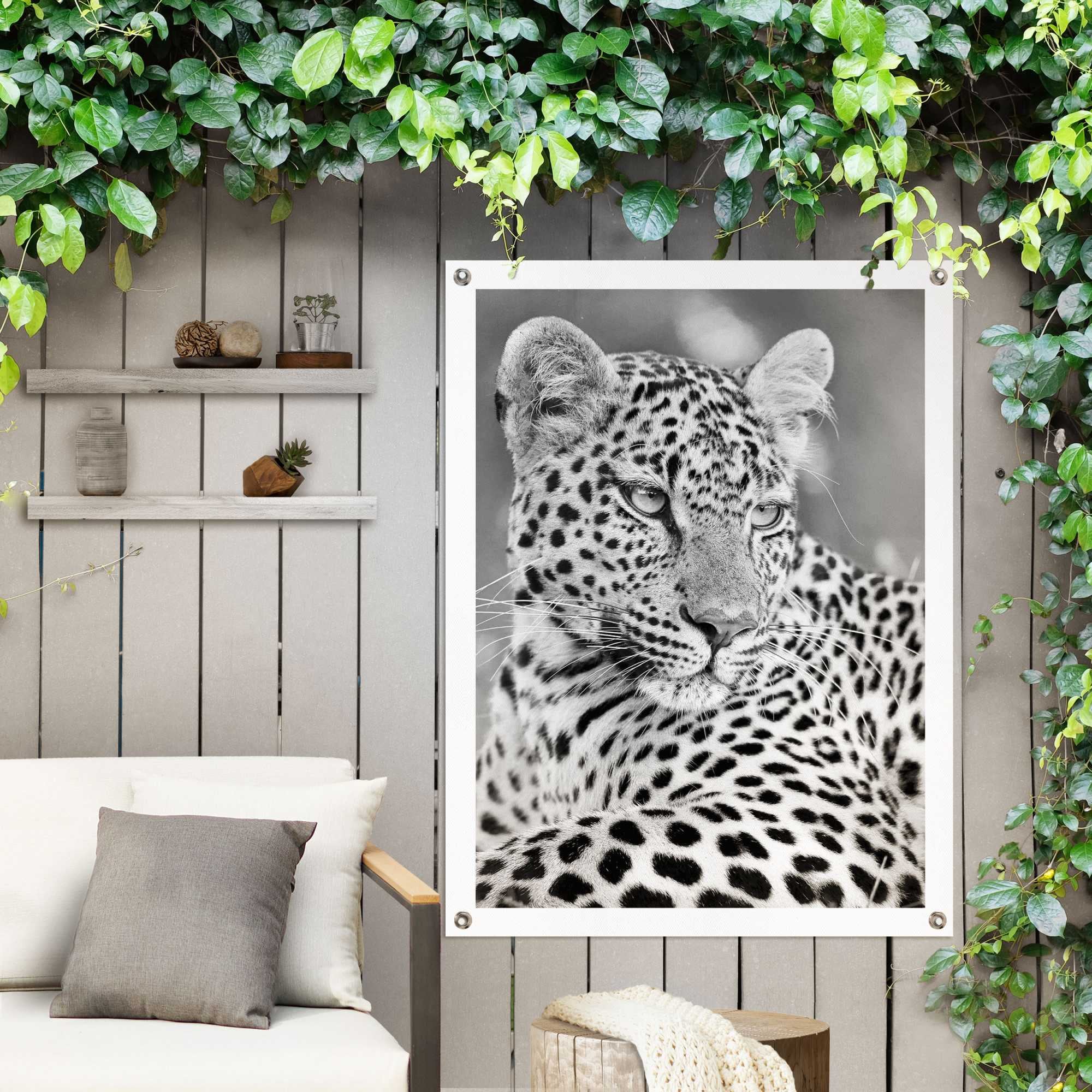 Reinders! Poster »Leopard«, Outdoor für Garten oder Balkon online bei OTTO | Poster