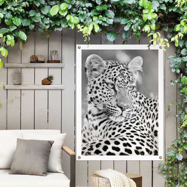Reinders! Poster »Leopard«, Outdoor für Garten oder Balkon online bei OTTO