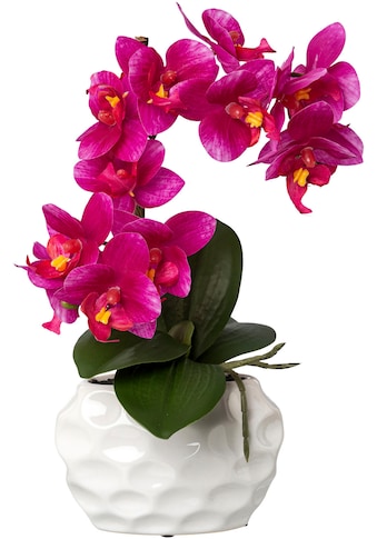 Creativ green Kunstorchidee »Deko-Orchidee Phalaenopsis im Keramiktopf«, (1 St.) kaufen