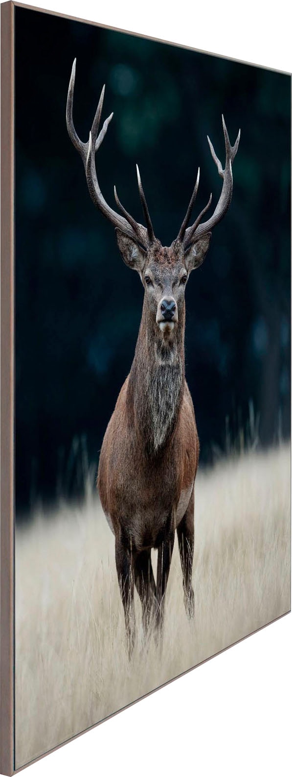 Reinders! Wandbild »Slim Frame Wood 50x70 Deer«