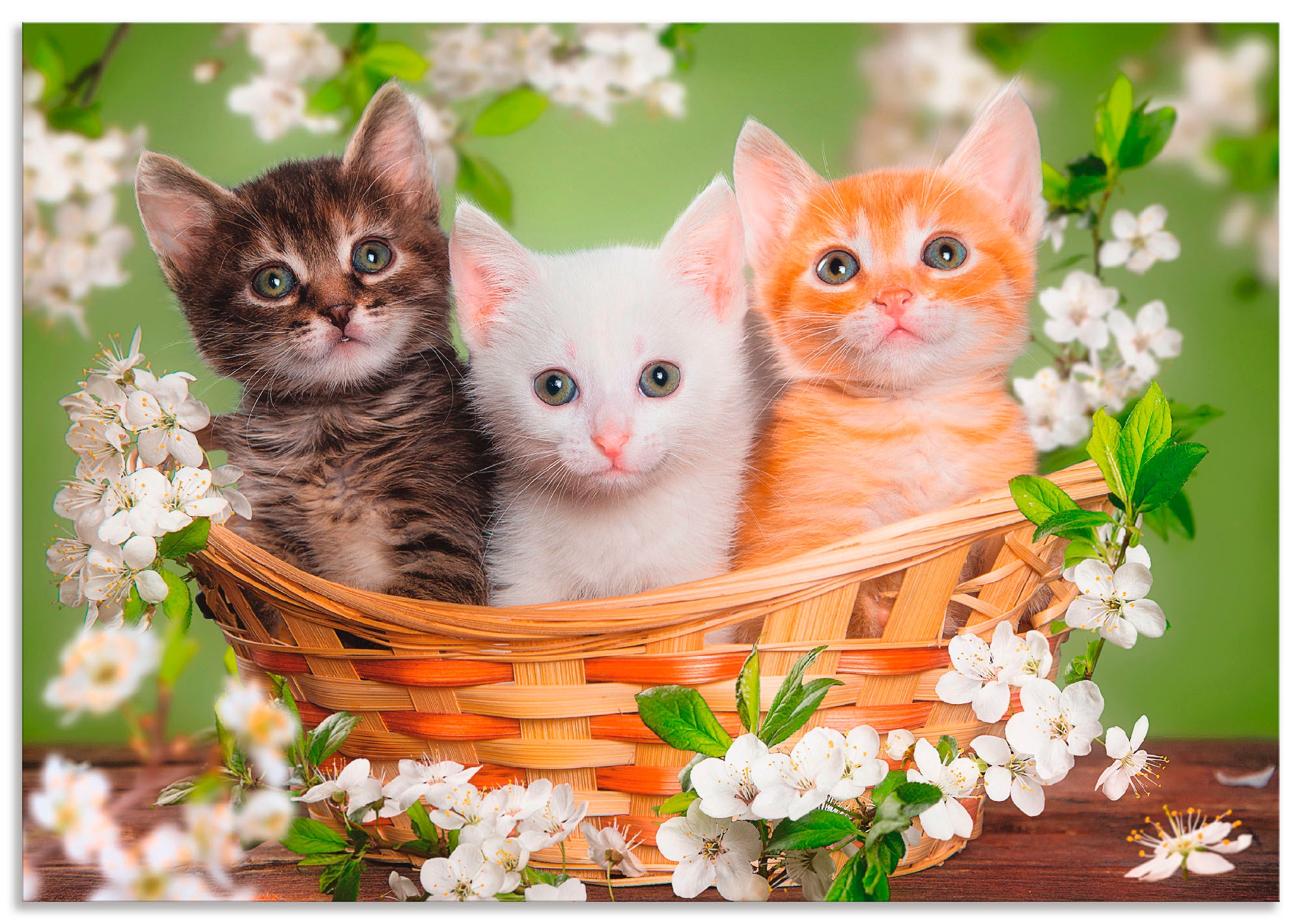 Artland Wandbild »Katzen sitzen in einem Korb«, Haustiere, (1 St.), in vielen Größen & Produktarten - Alubild / Outdoorbild für den Außenbereich, Leinwandbild, Poster, Wandaufkleber / Wandtattoo auch für Badezimmer geeignet