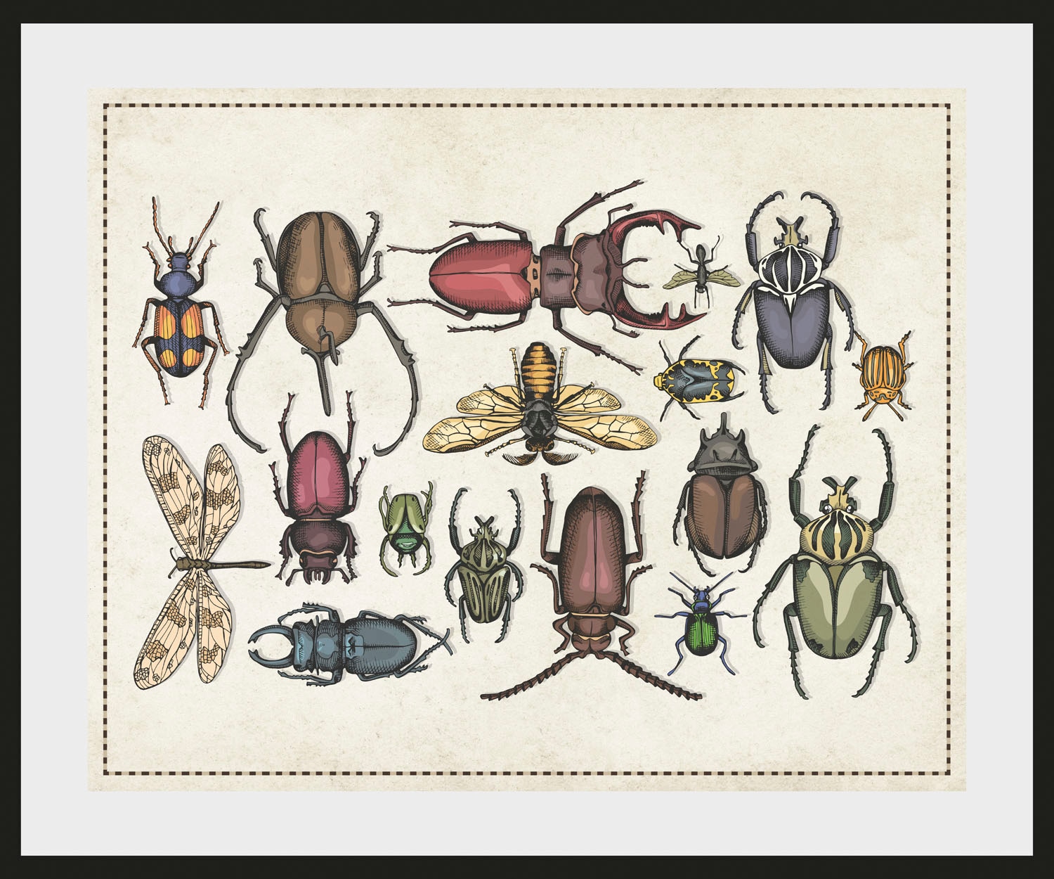 queence Bild »Das Große Krabbeln 2«, Schmetterlinge-Kunst-Insekten, (1 St.), HD Premium Poster-Druck inkl. Holzrahmen