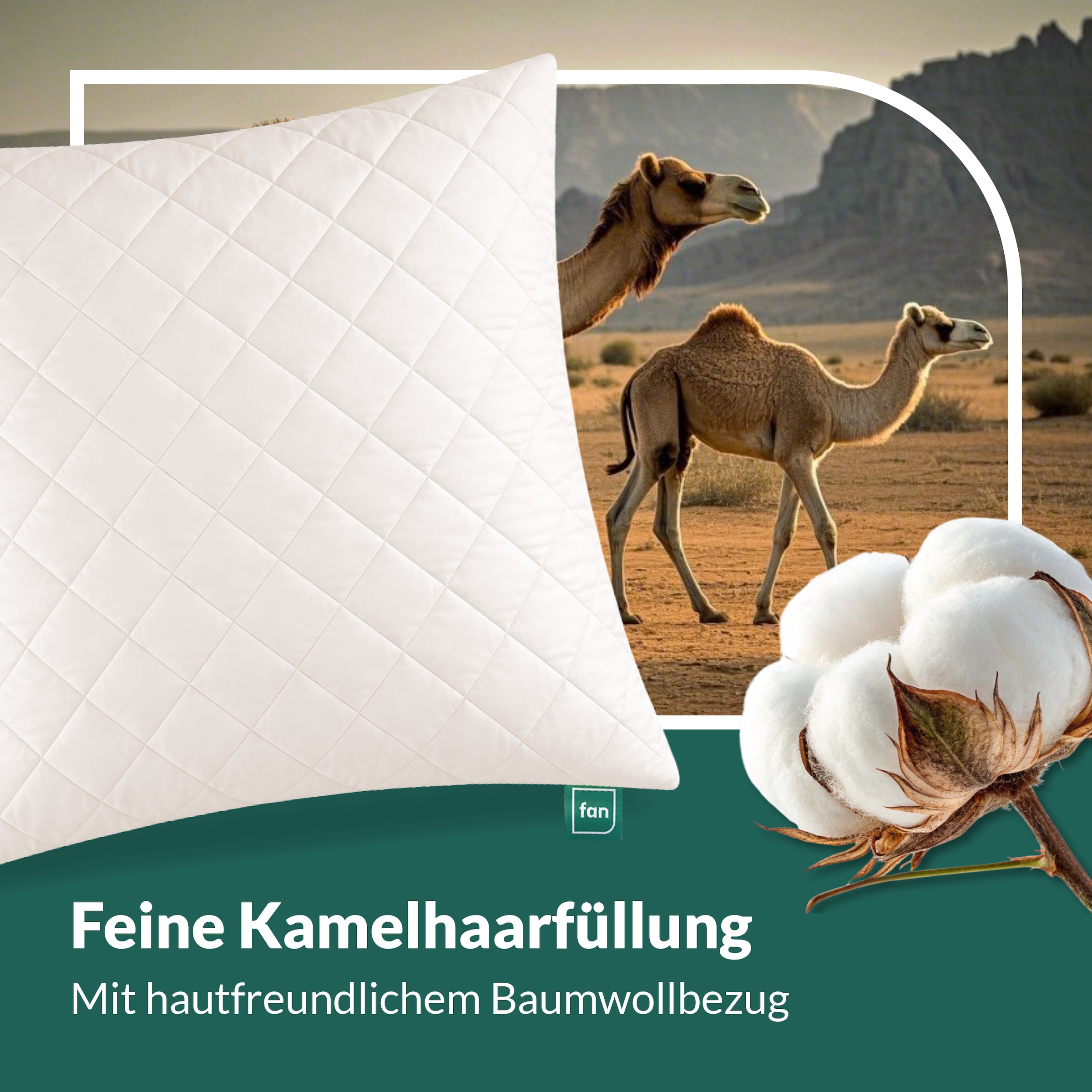fan Naturfaserkissen »Gobi, Kopfkissen in 40x80 & 80x80 cm, Made in Germany« Füllung: 97Wolle3sonstigeFasern 1 Stk. tlg. Kissenbezug aus Baumwolle mit Kamelhaar versteppt, Füllung aus Wolle