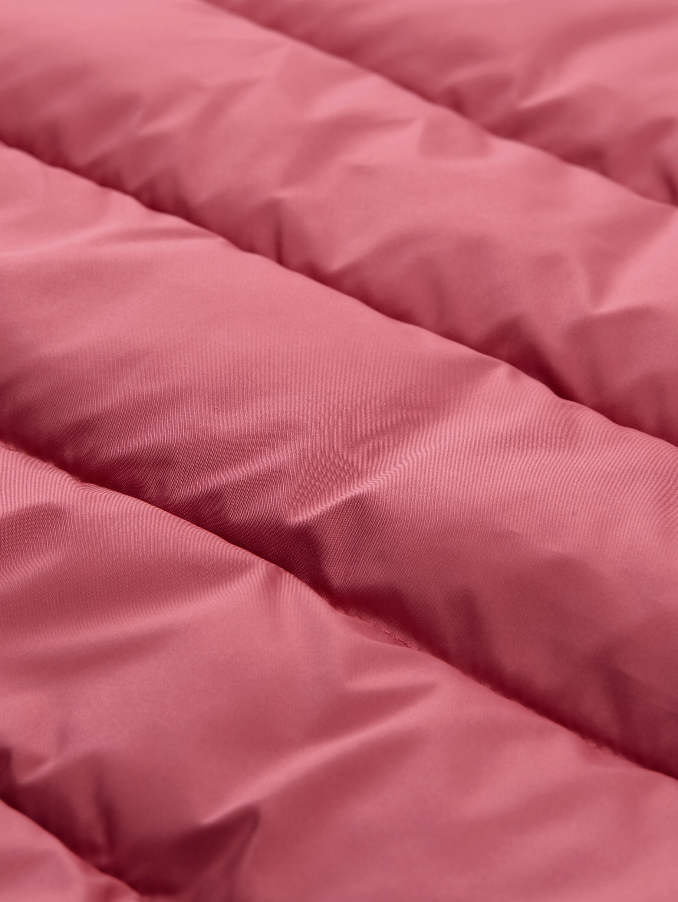 TOM TAILOR Steppjacke mit elastischem Bund