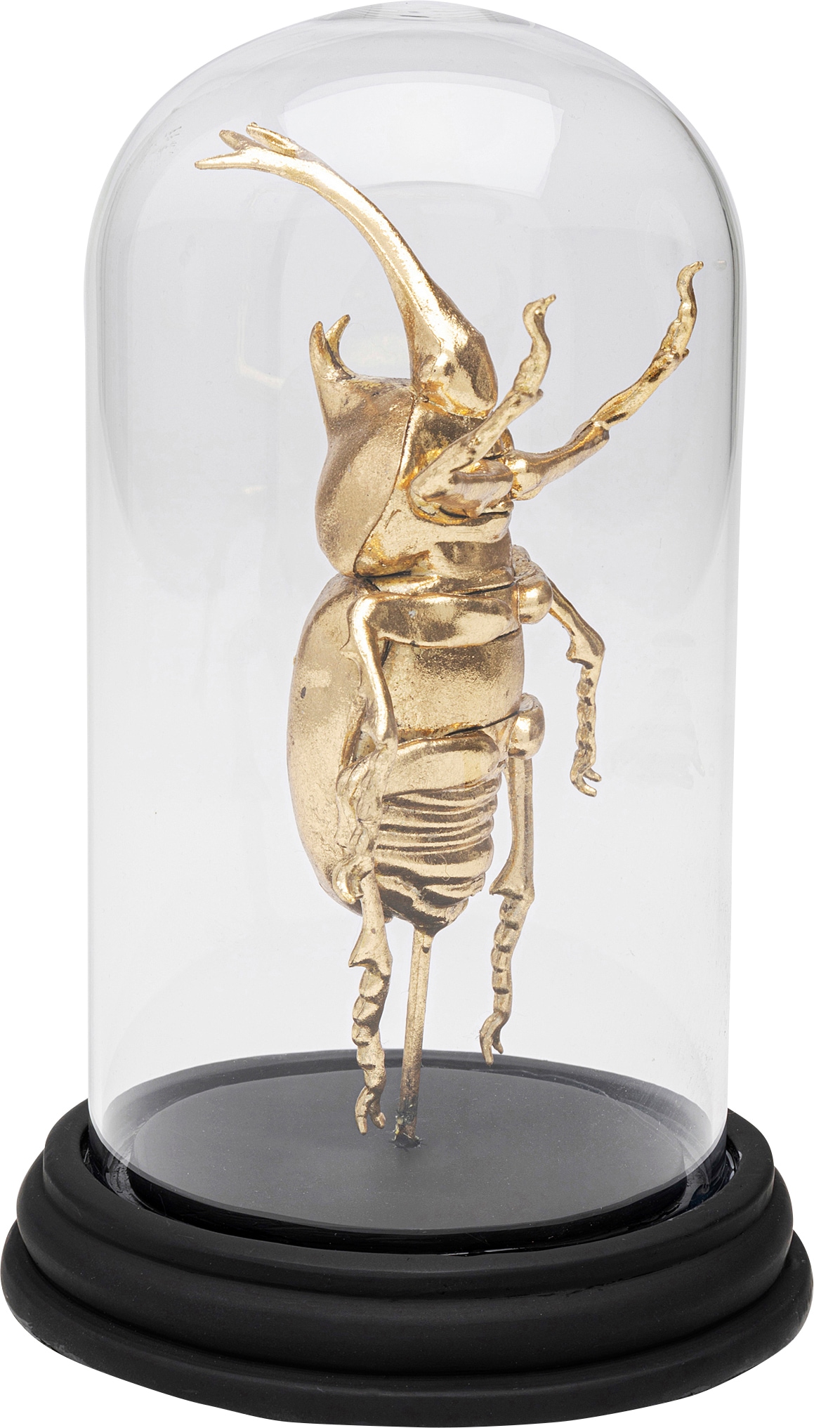 Kare Design Dekoobjekt »Stag Beetle 20cm«