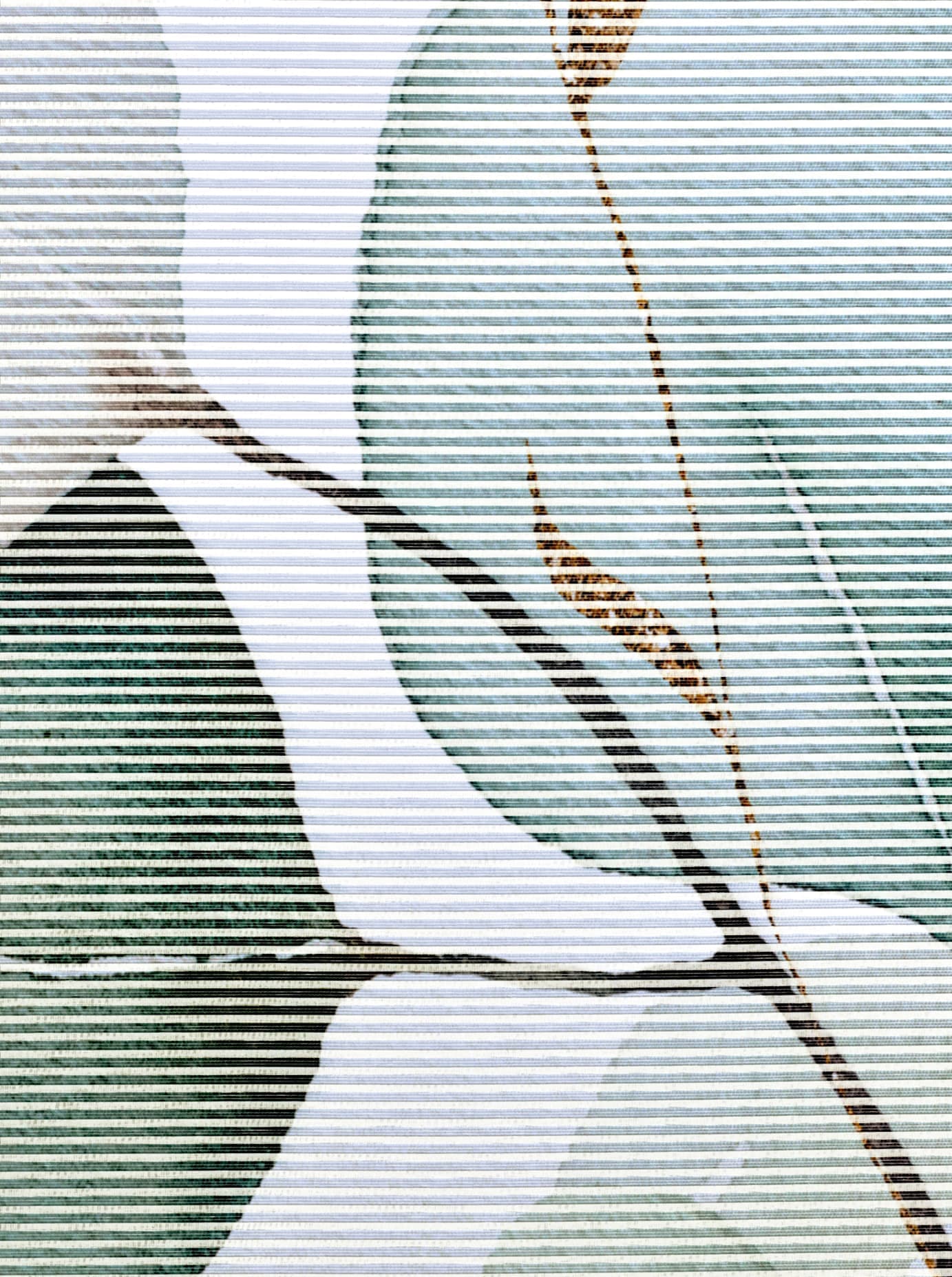 heine home Schiebegardine Klettband 1 Stk. tlg.