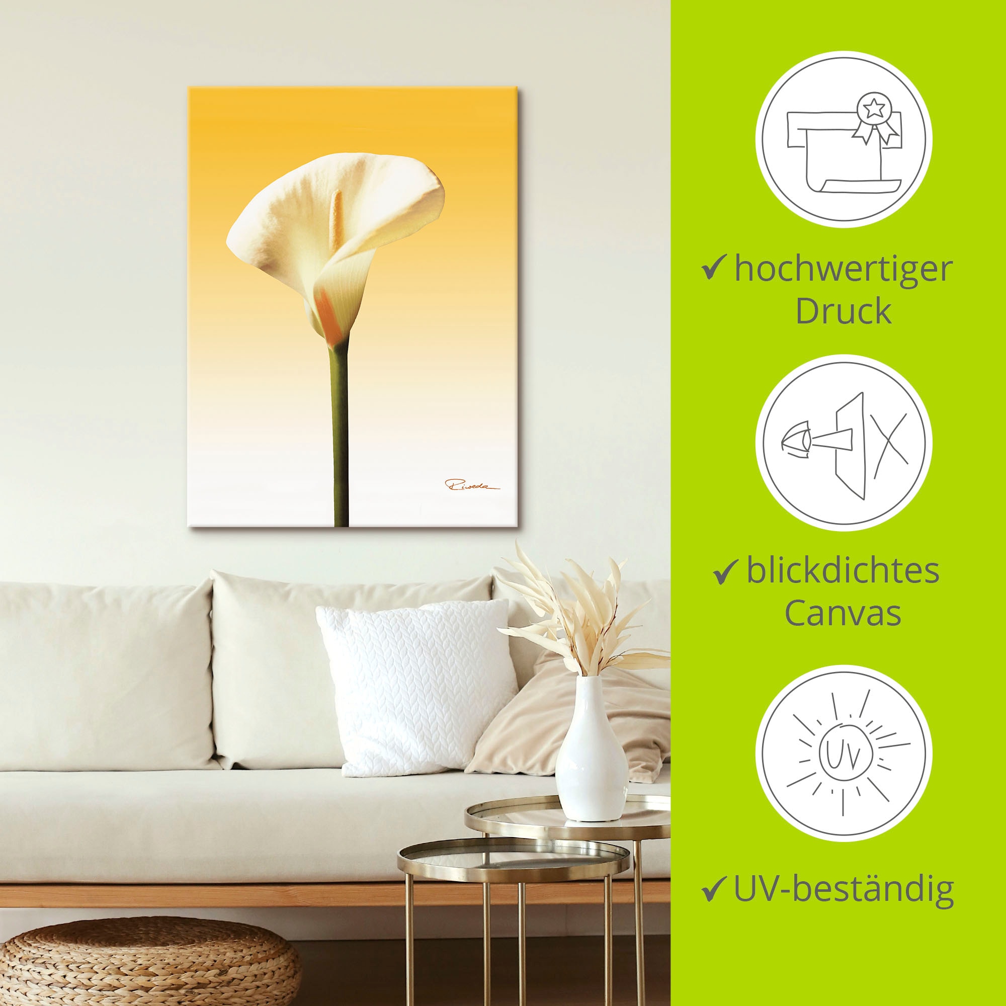 Artland Leinwandbild »Sonnenschein Calla II« Blumenbilder 1 Stk. tlg. auf Holzrahmen gespannt