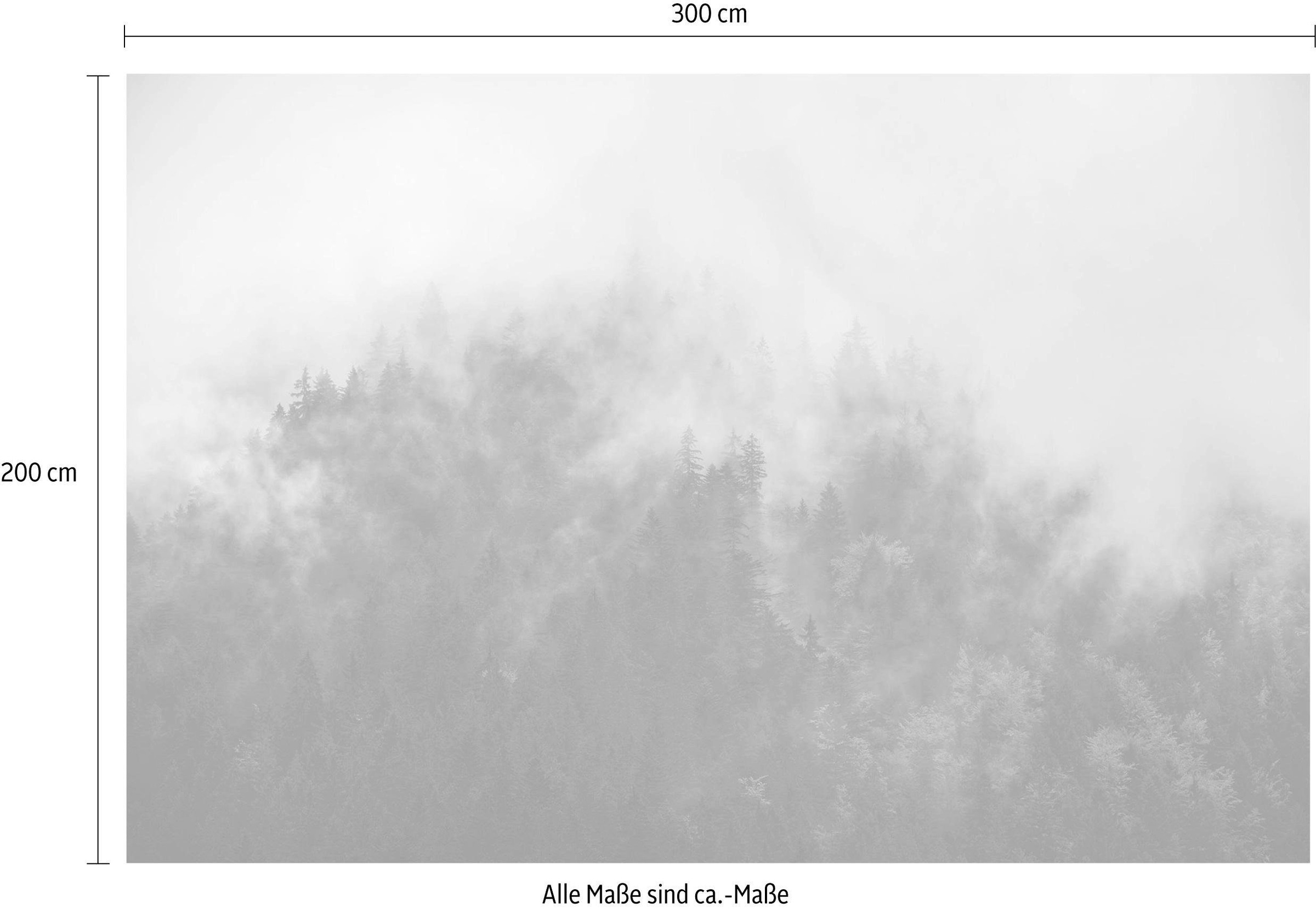 Komar Vliestapete (Breite x Höhe), Vliestapete, 100 cm Bahnbreite