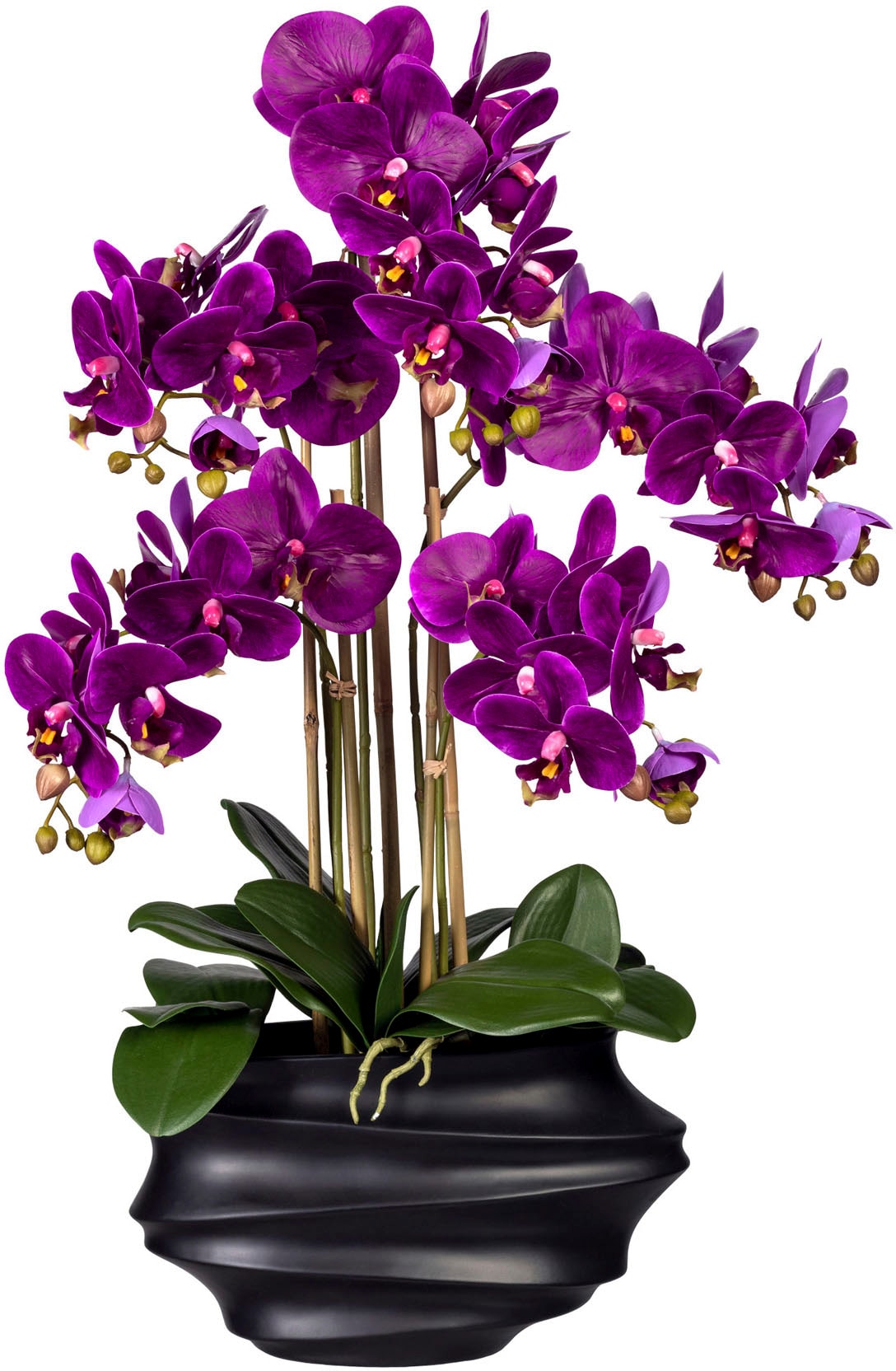 Creativ Green Kunstorchidee »Phalaenopsis« in Design-Kunststoffvase in lila, Größe B/H/L: 75 cm