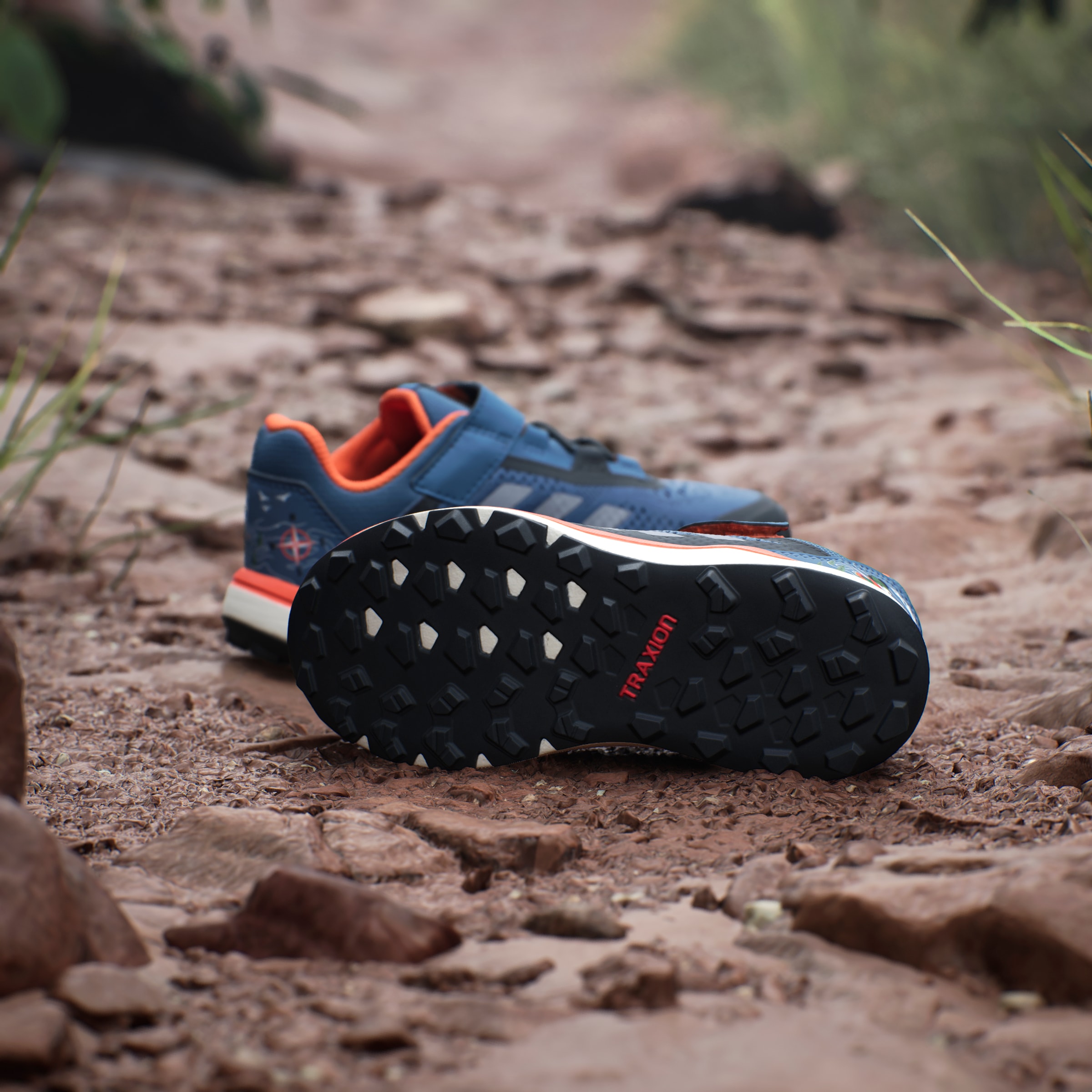 adidas TERREX Laufschuh »TERREX DISNEY AGRAVIC FLOW TRAILRUNNING«