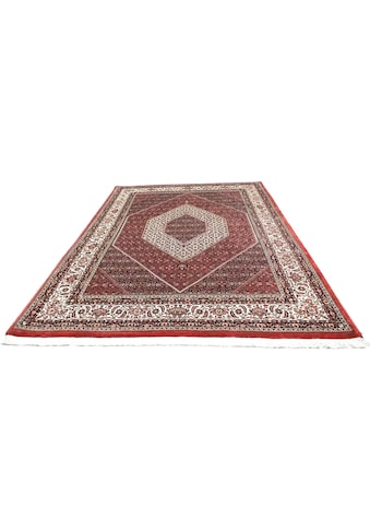 morgenland Wollteppich »Bidjar Teppich handgeknüpft rot«, rechteckig, 15 mm Höhe kaufen