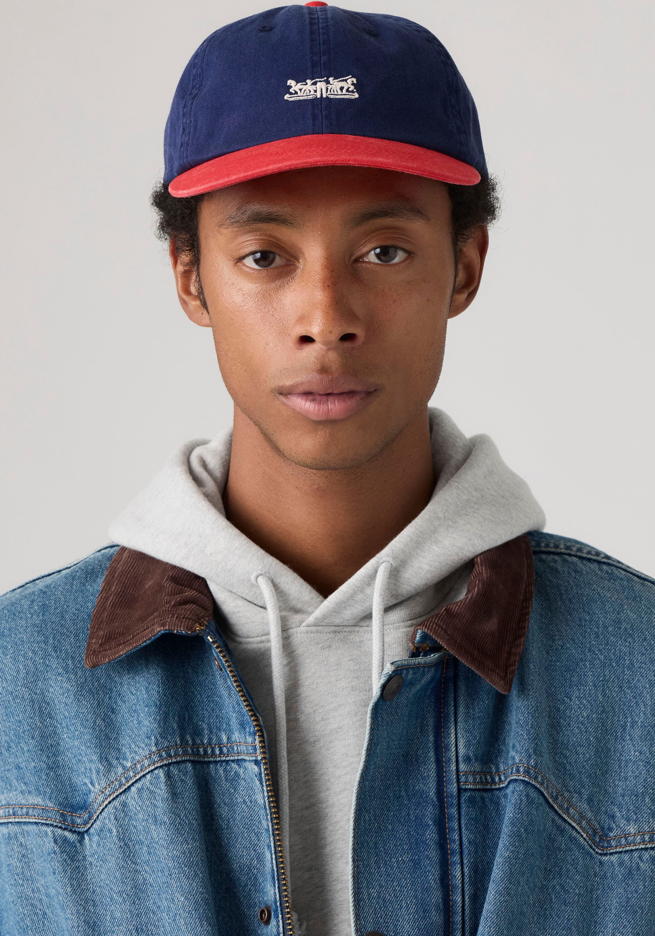 Levi's® Baseball Cap »ROCKRIDGE DAD CAP« mit Stickerei