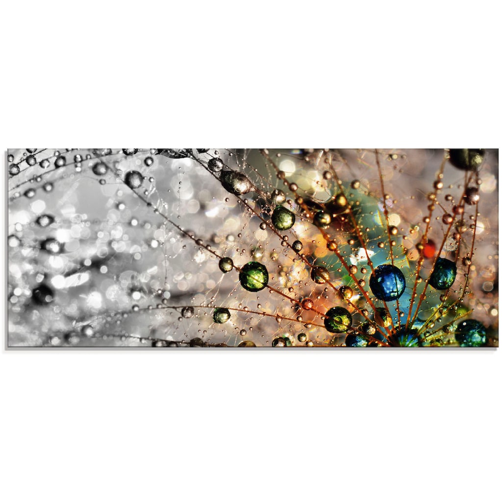 Artland Glasbild »Farbenfrohe Natur«, Blumen, (1 St.)
