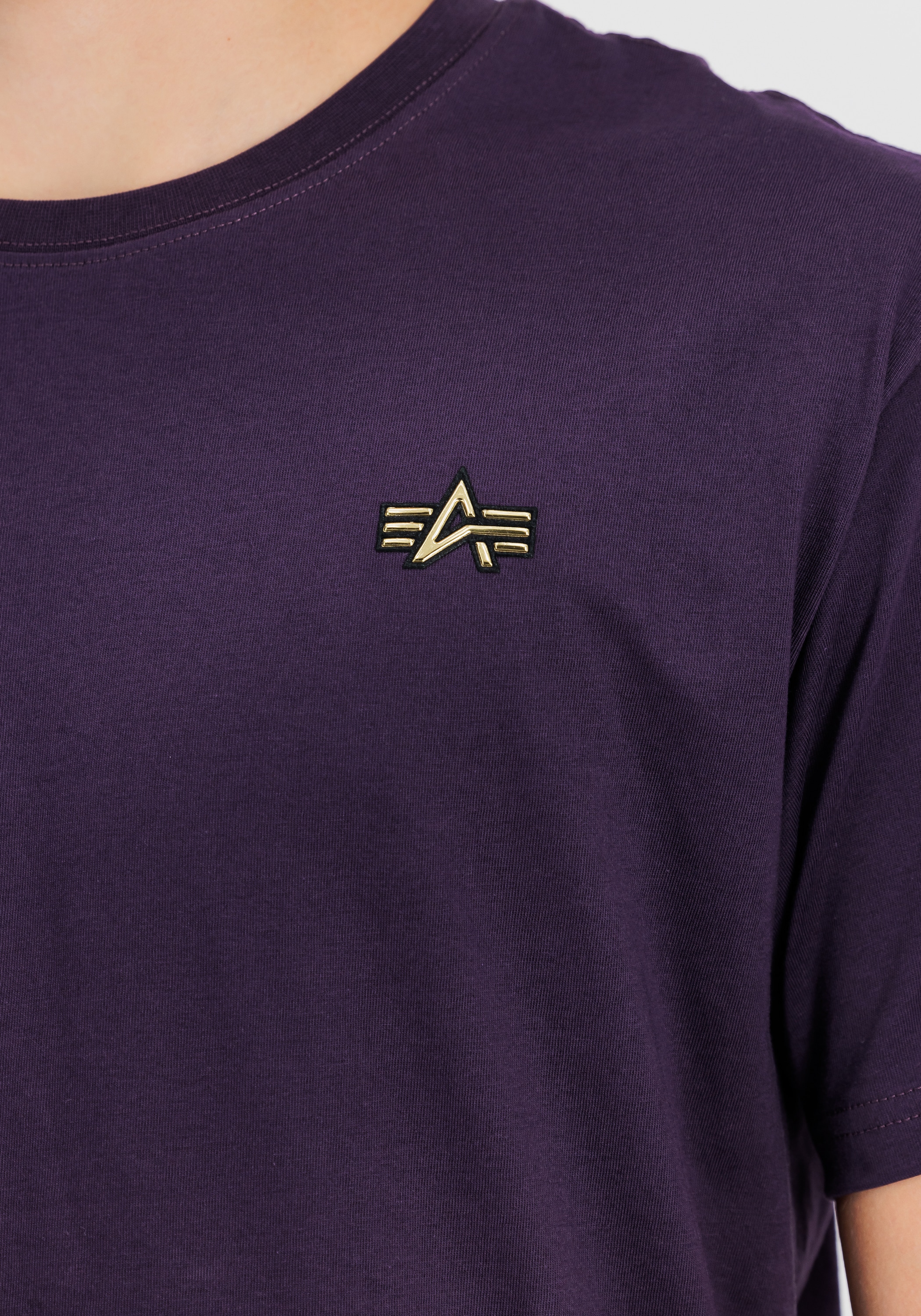 Alpha Industries T-Shirt »3D Small Logo T-Shirt T-Shirt«