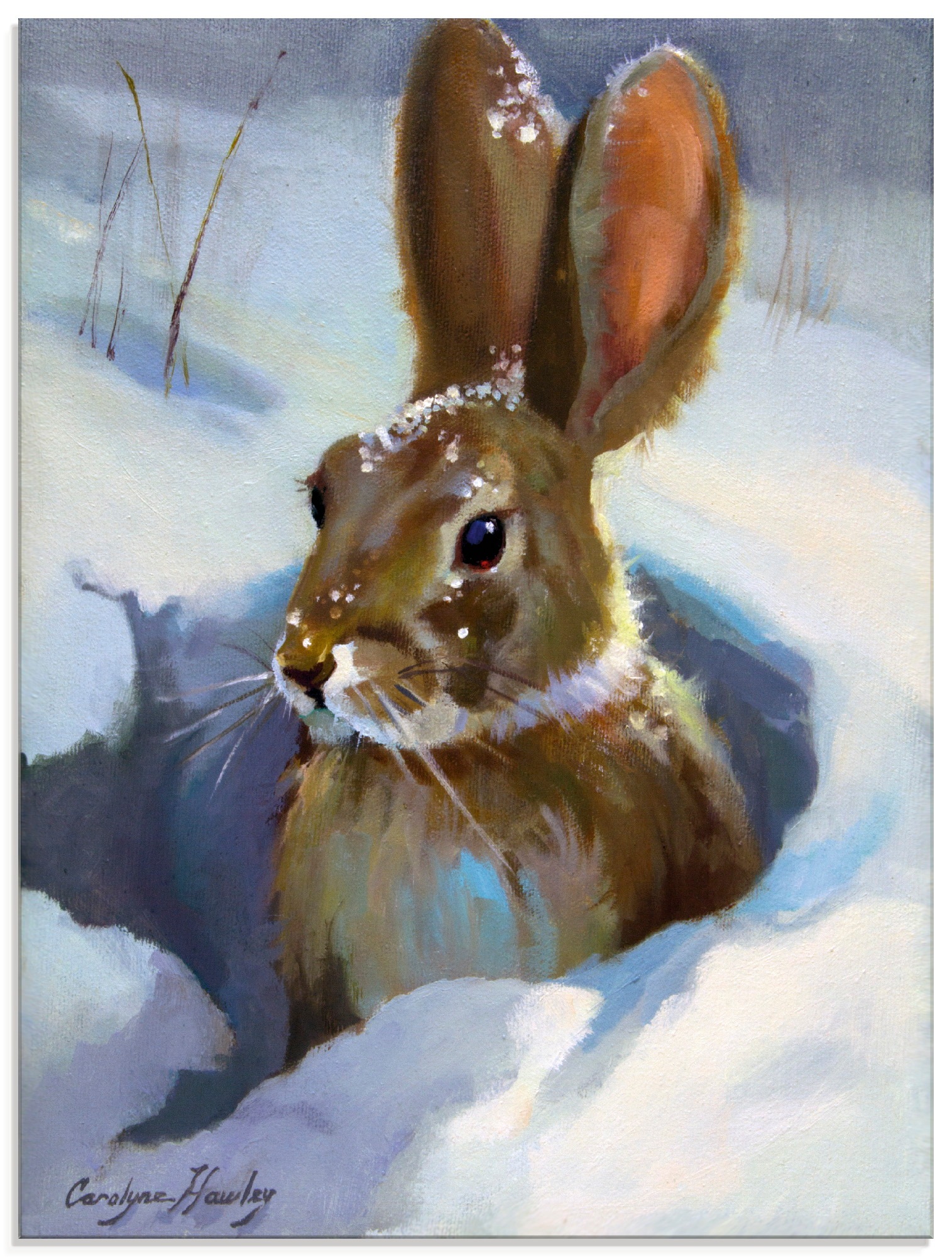 Artland Glasbild »Schneehase«, Wildtiere, (1 St.)