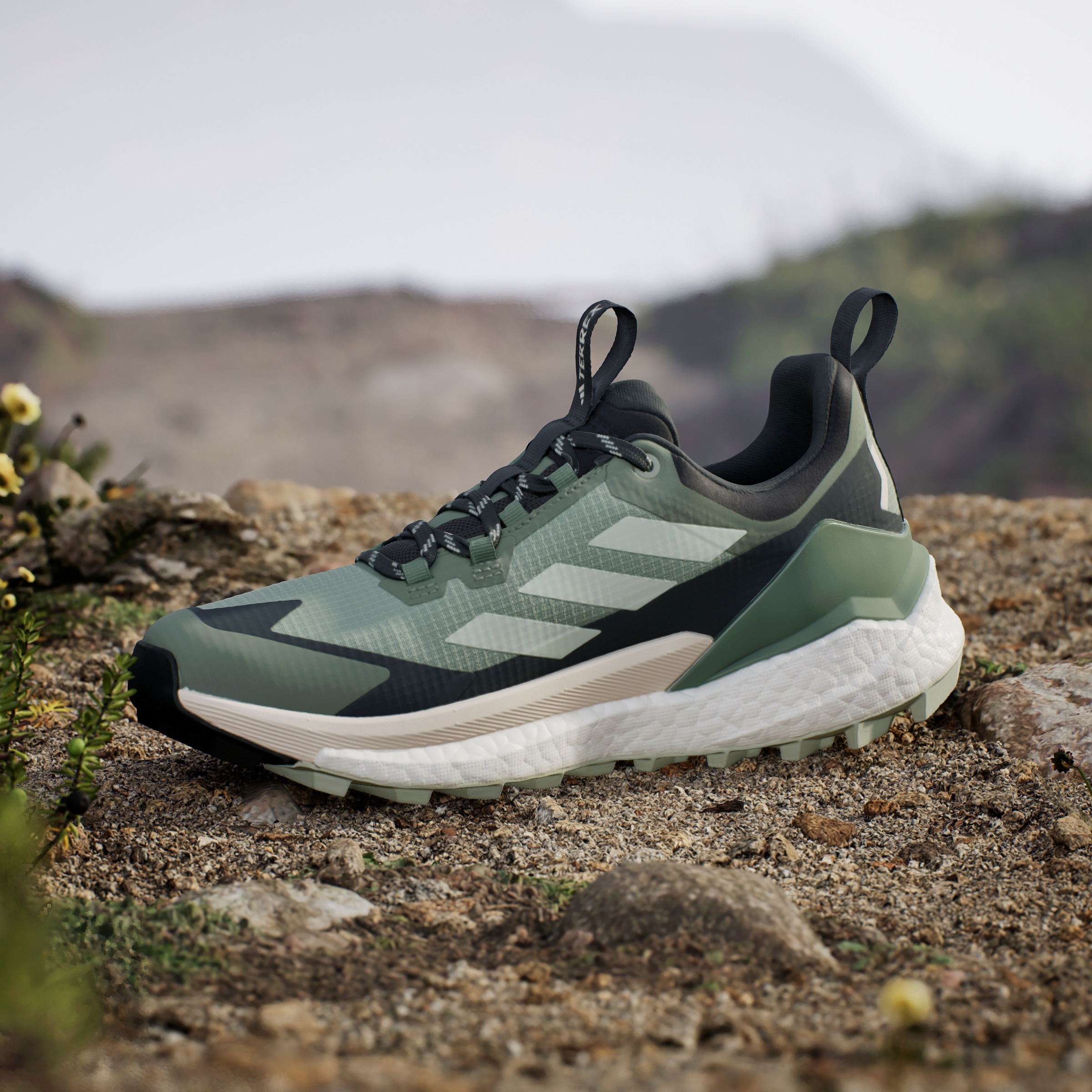adidas TERREX Wanderschuh »TERREX FREE HIKER 2.0 LOW GORE-TEX«, wasserdicht