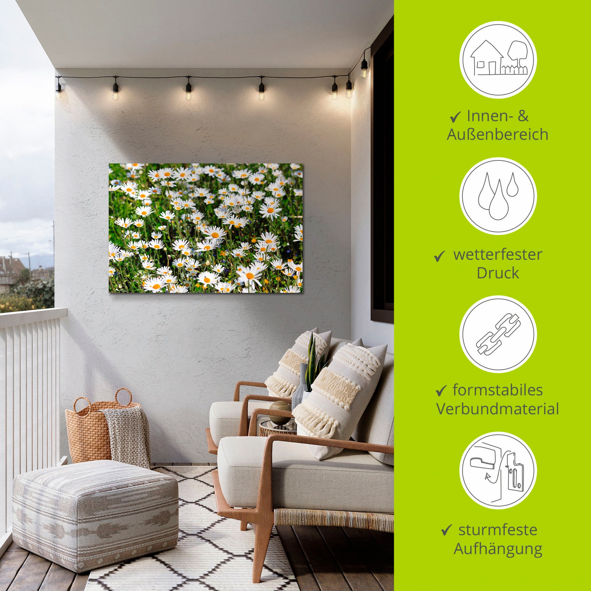Artland Wandbild »Gänseblümchen«, Blumen, (1 St.), als Alubild, Outdoorbild, Leinwandbild in verschied. Größen