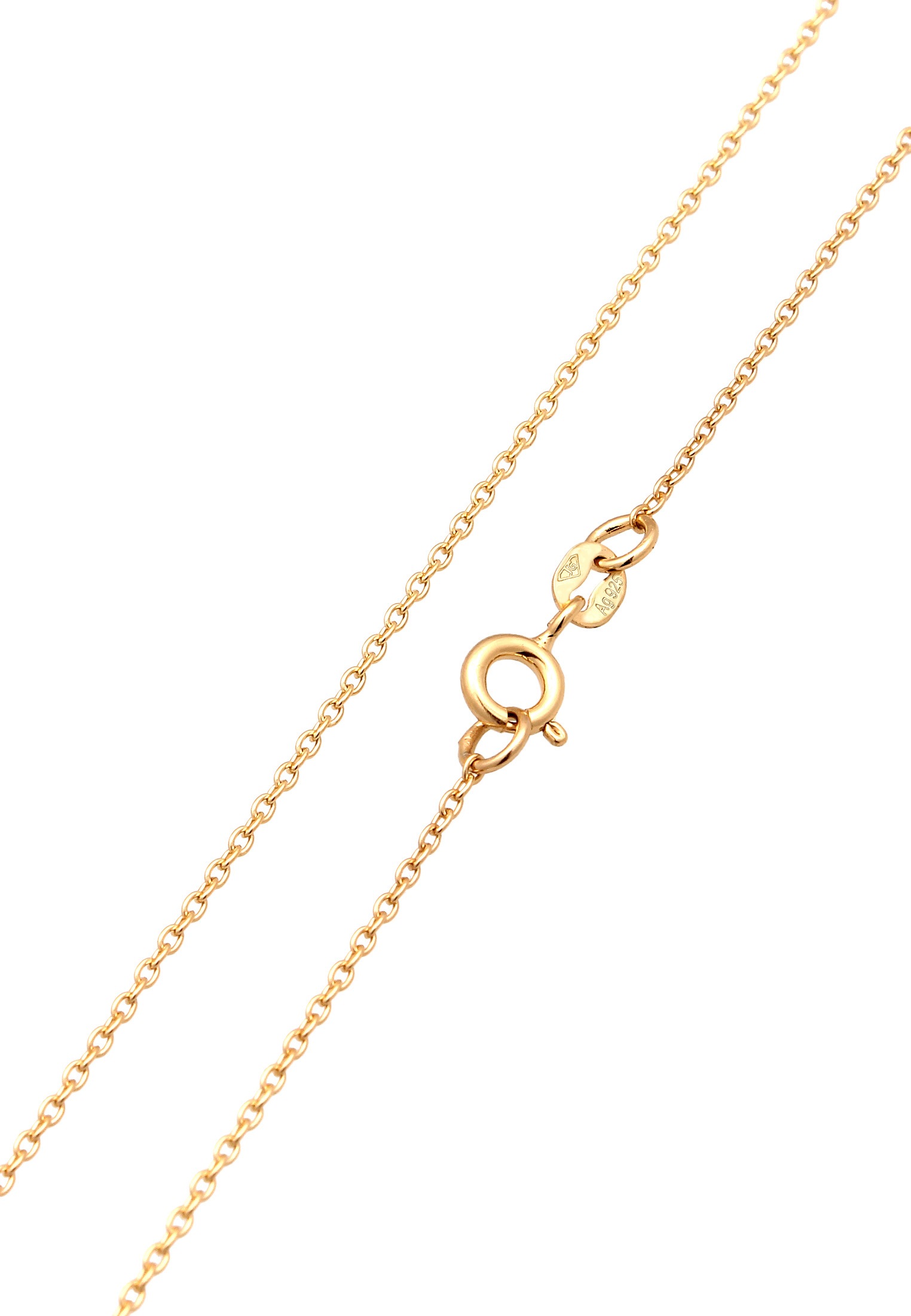 Elli Premium Kette ohne Anhänger »Halskette Ankerkette Basic Zart 585 Gelbgold«