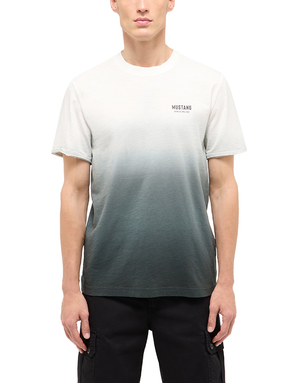 MUSTANG Kurzarmshirt »Herren Style Austin«