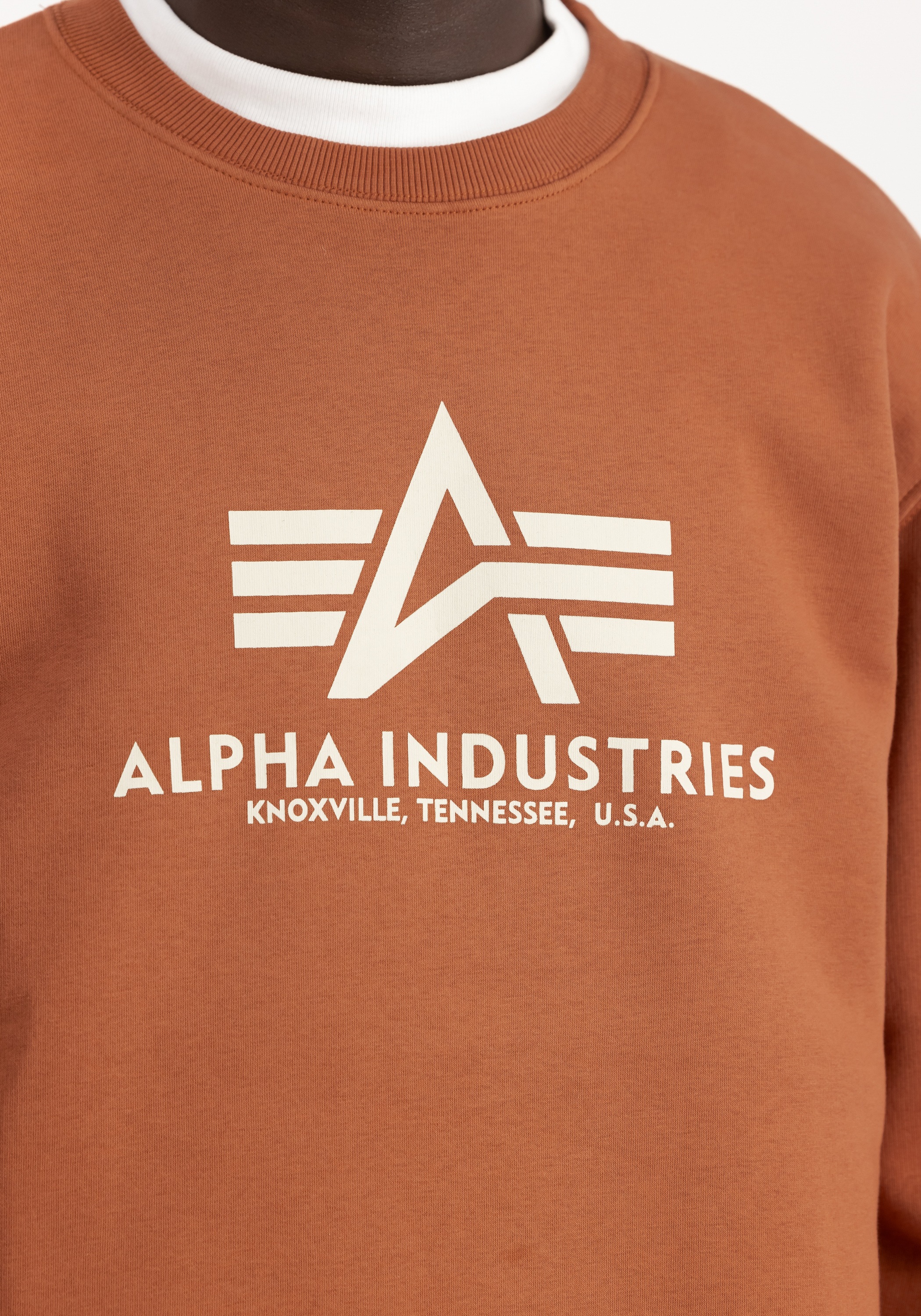 Alpha Industries Sweater »Basic Sweatshirt BL«