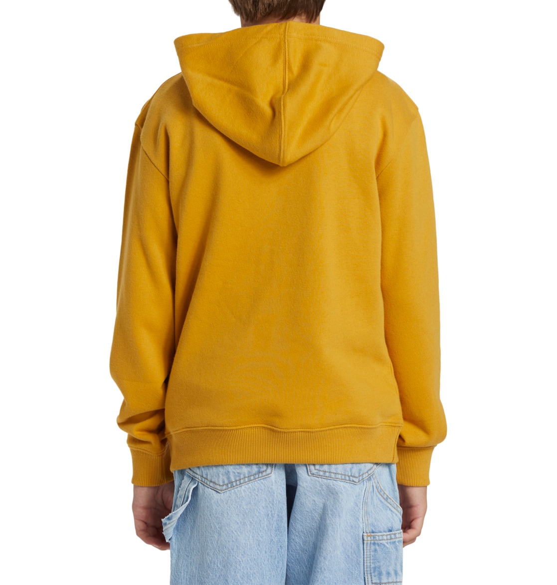 DC Shoes Hoodie »New Deals«